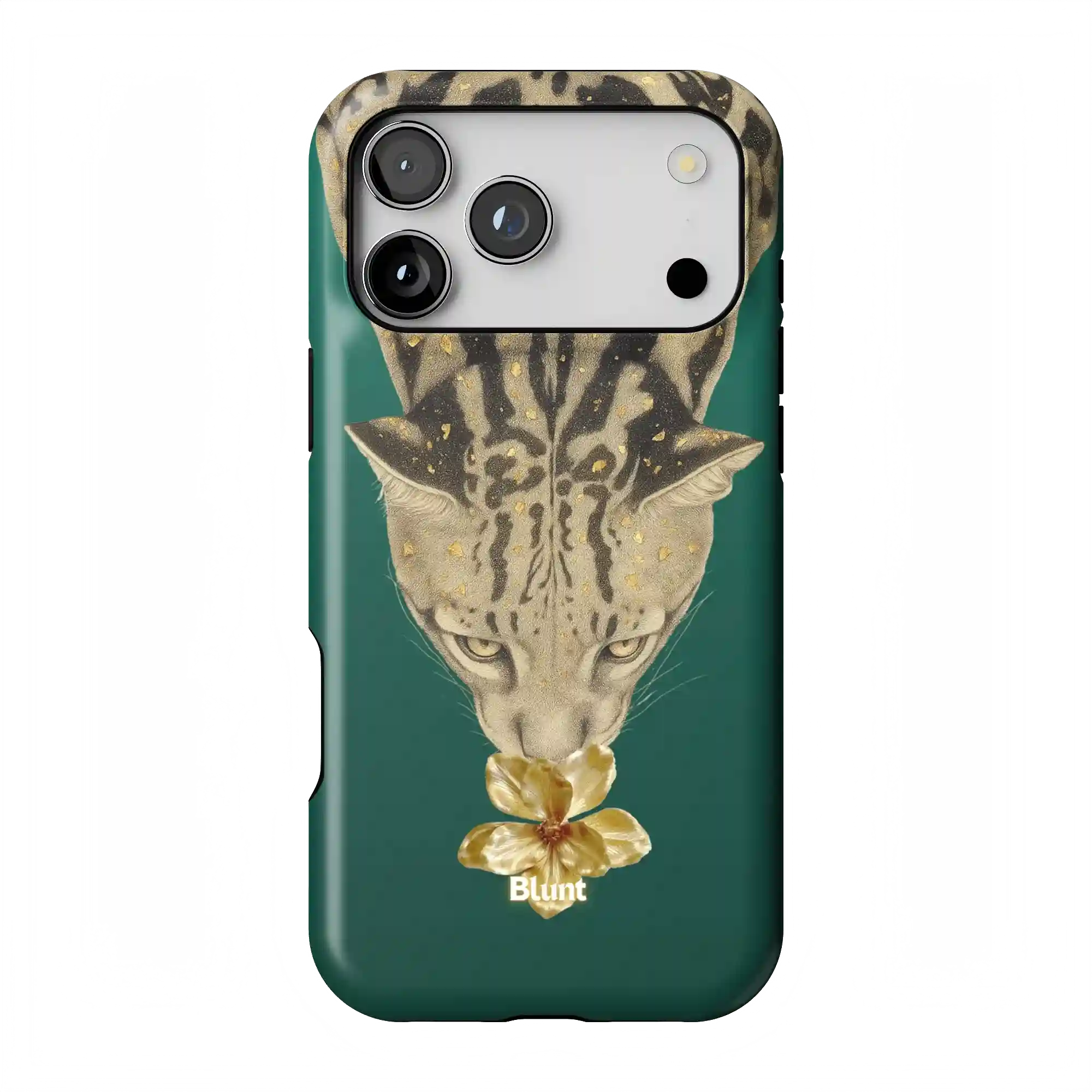 bluntcasesonline.com