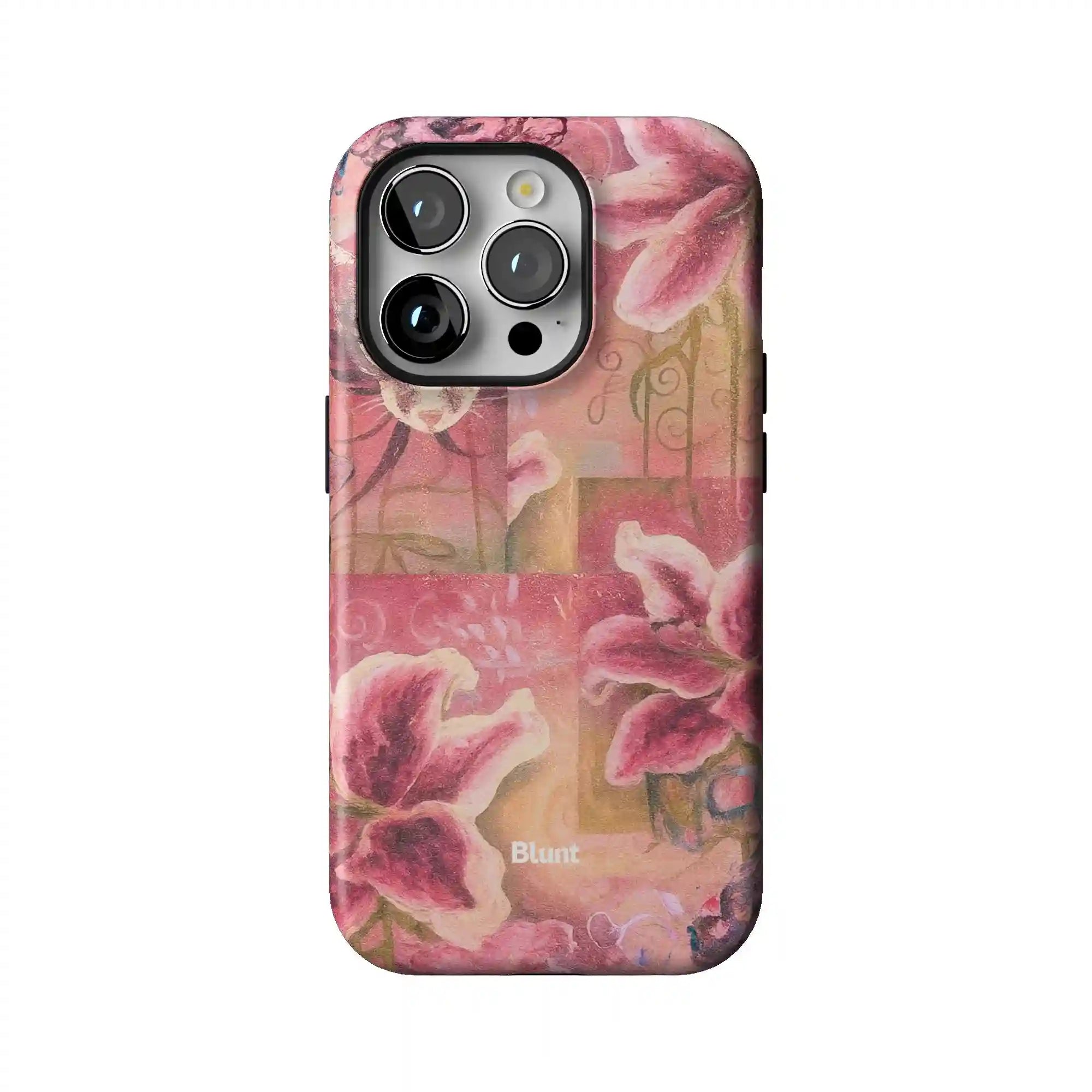 bluntcasesonline.com
