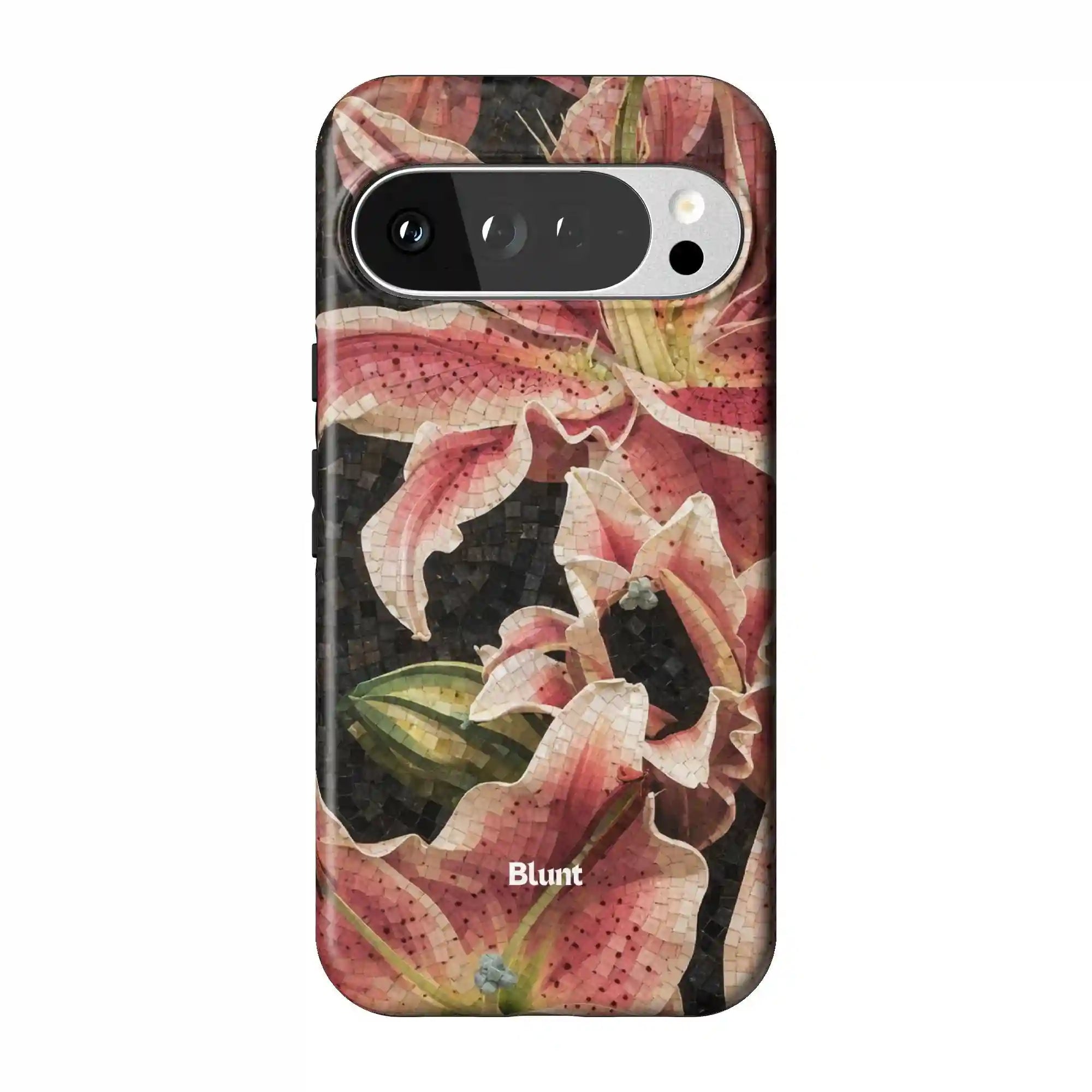 bluntcasesonline.com
