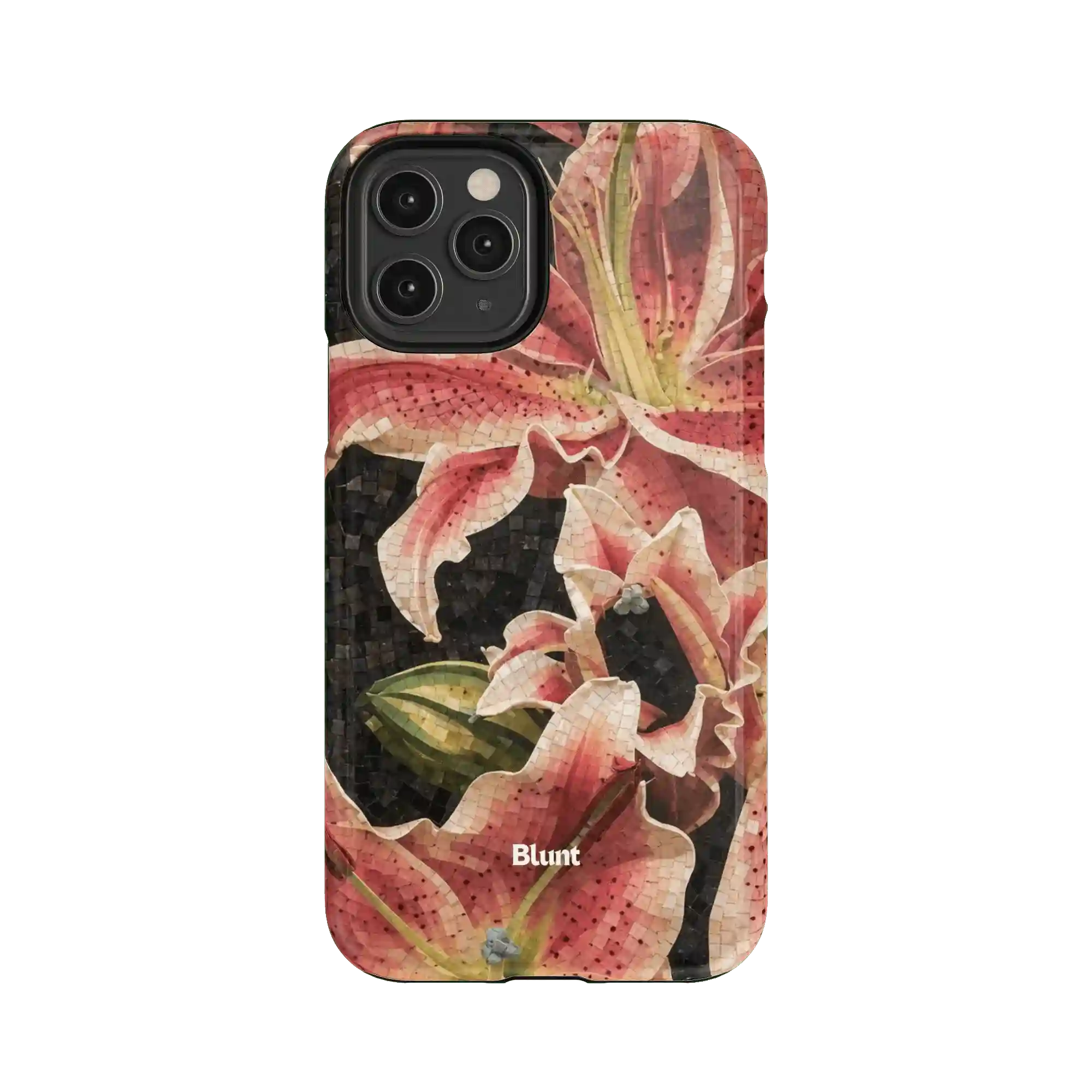 bluntcasesonline.com