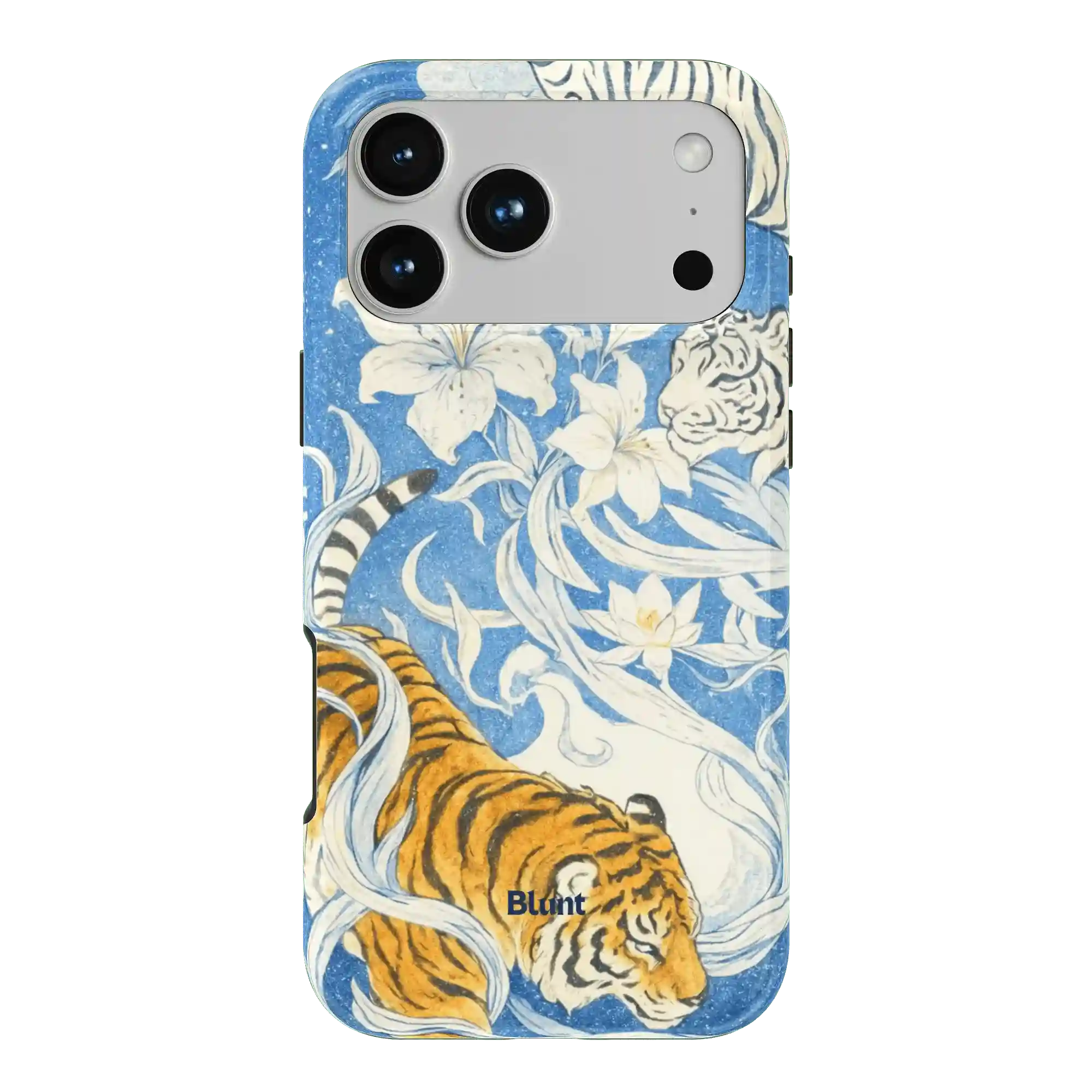 bluntcasesonline.com