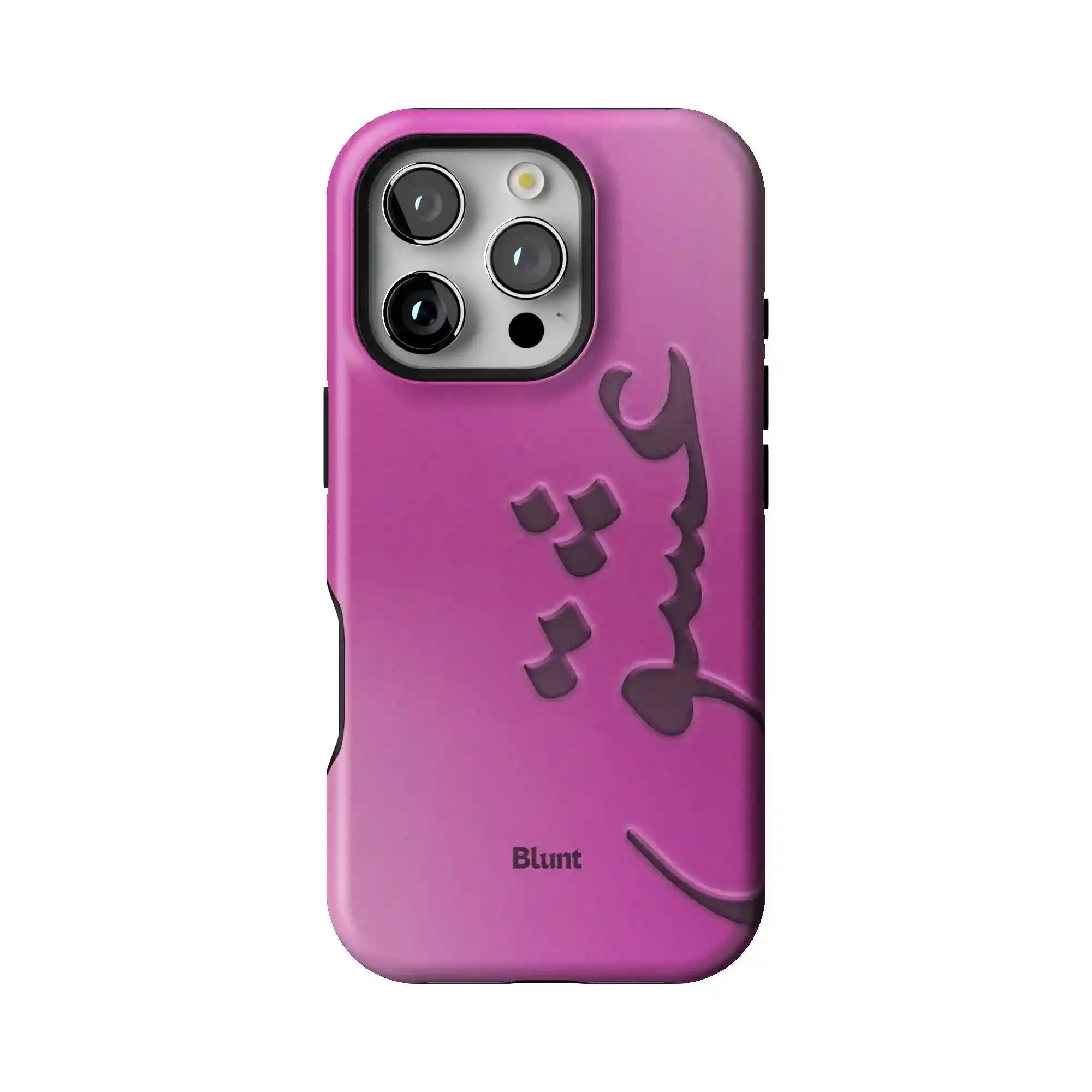 bluntcasesonline.com