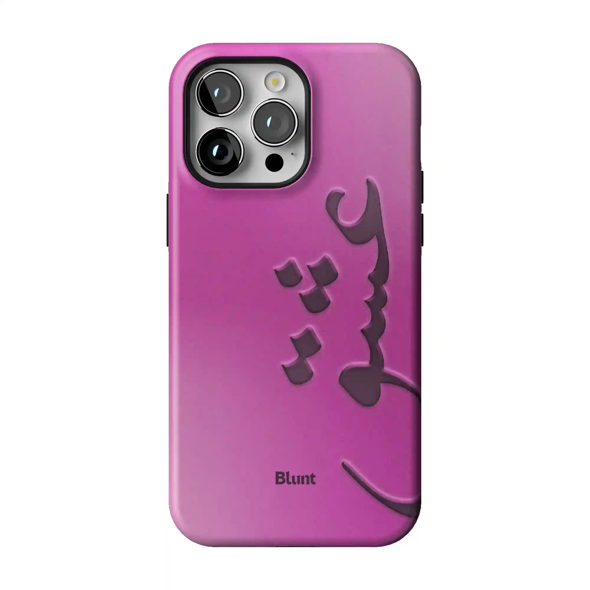 bluntcasesonline.com
