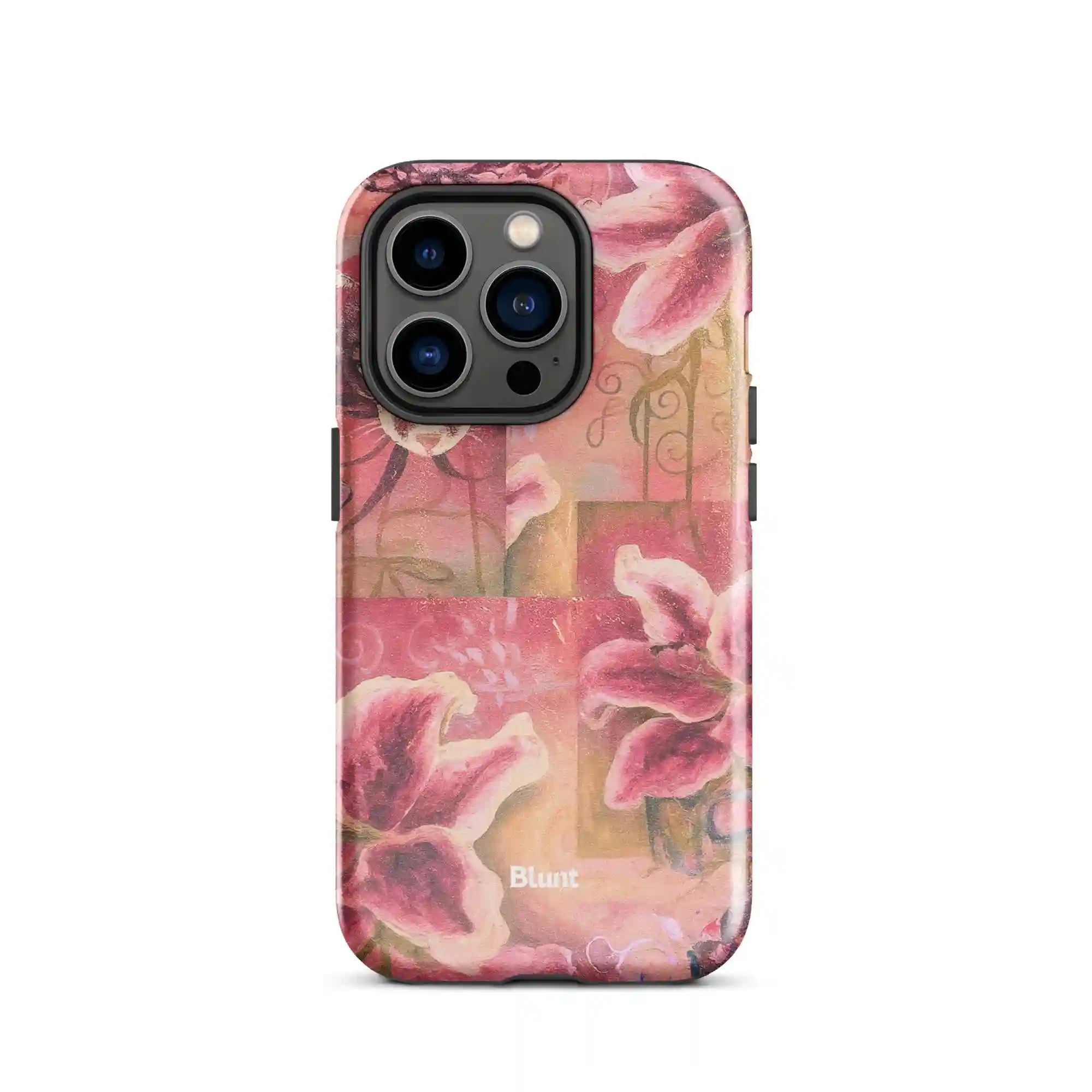 bluntcasesonline.com