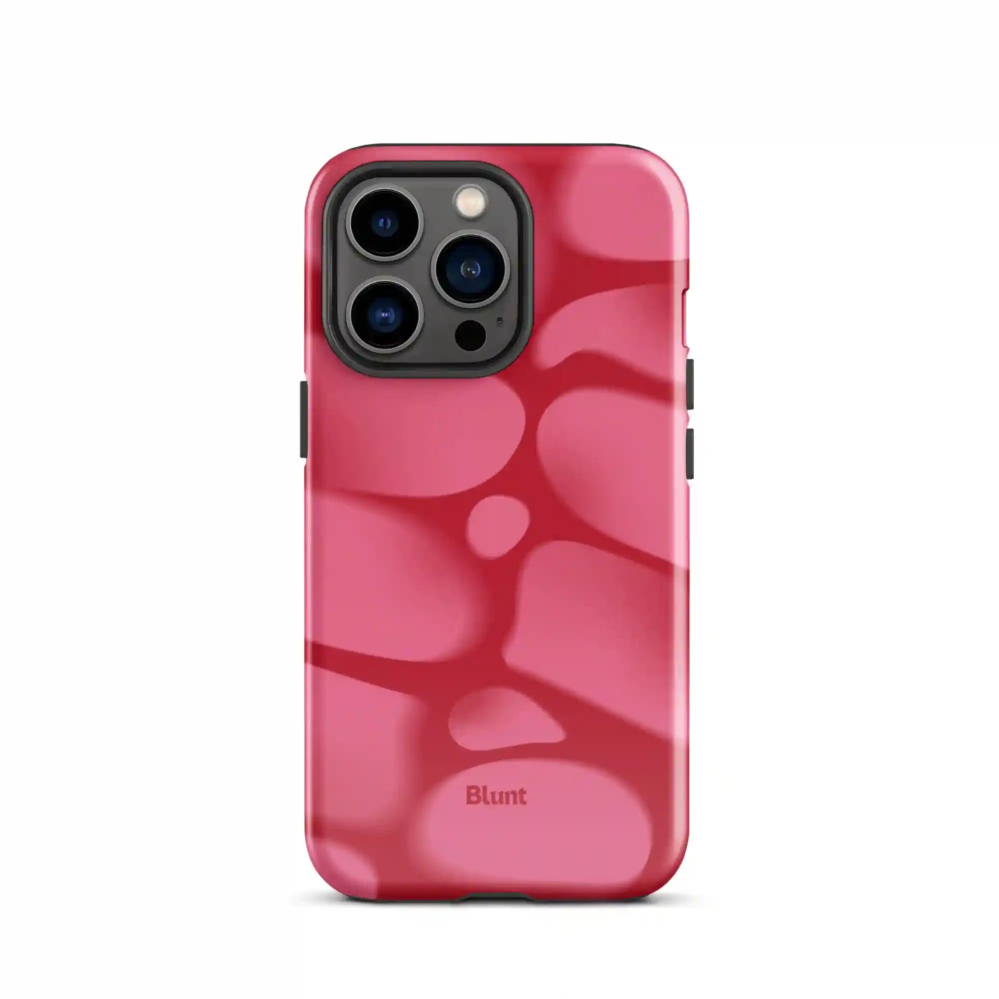 bluntcasesonline.com
