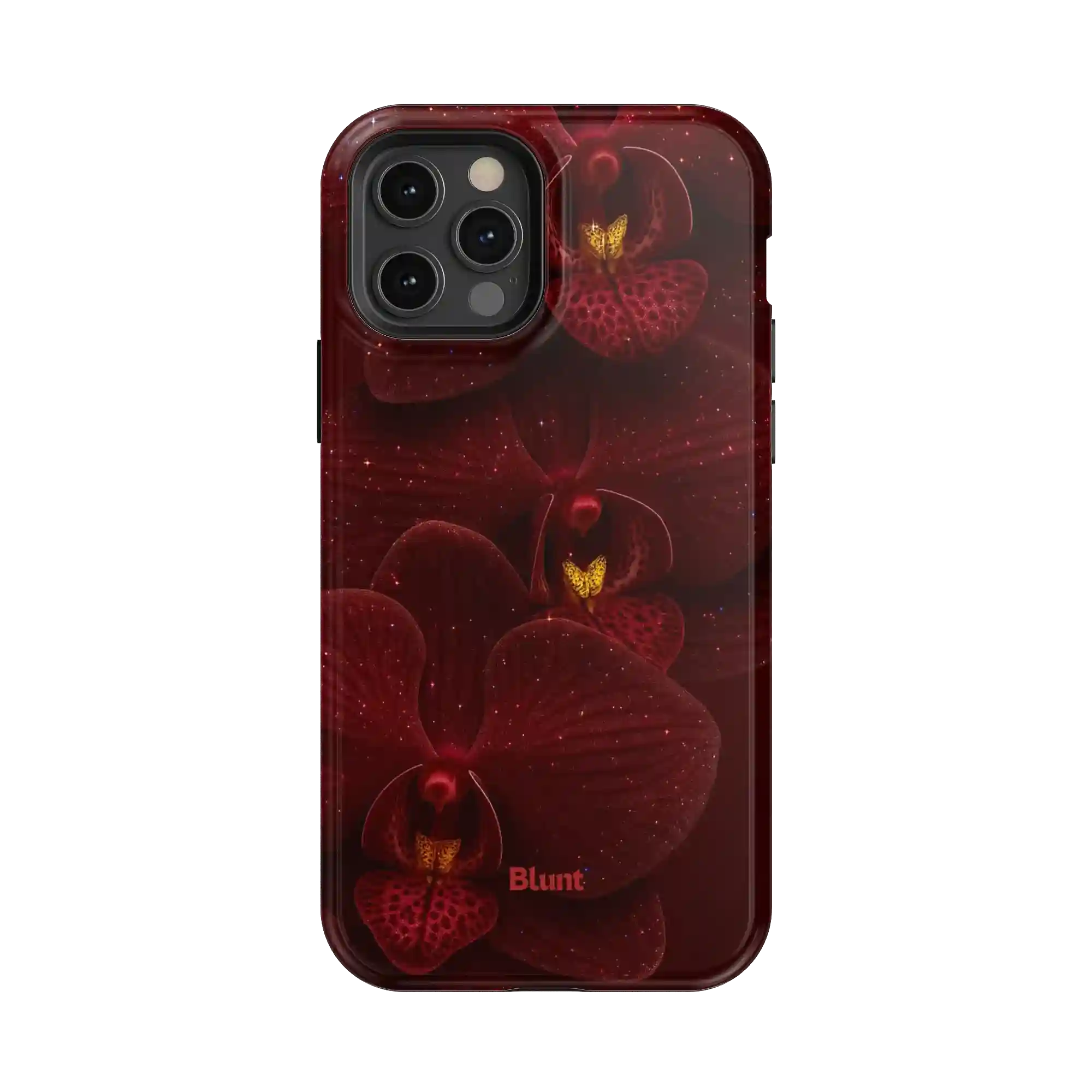 bluntcasesonline.com