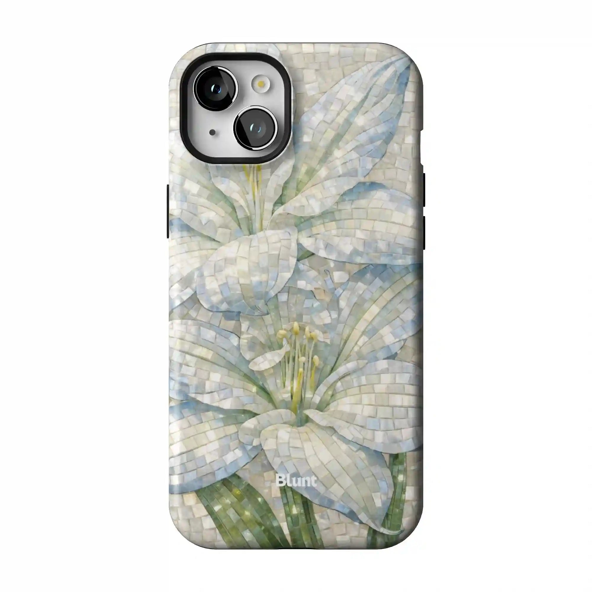 bluntcasesonline.com