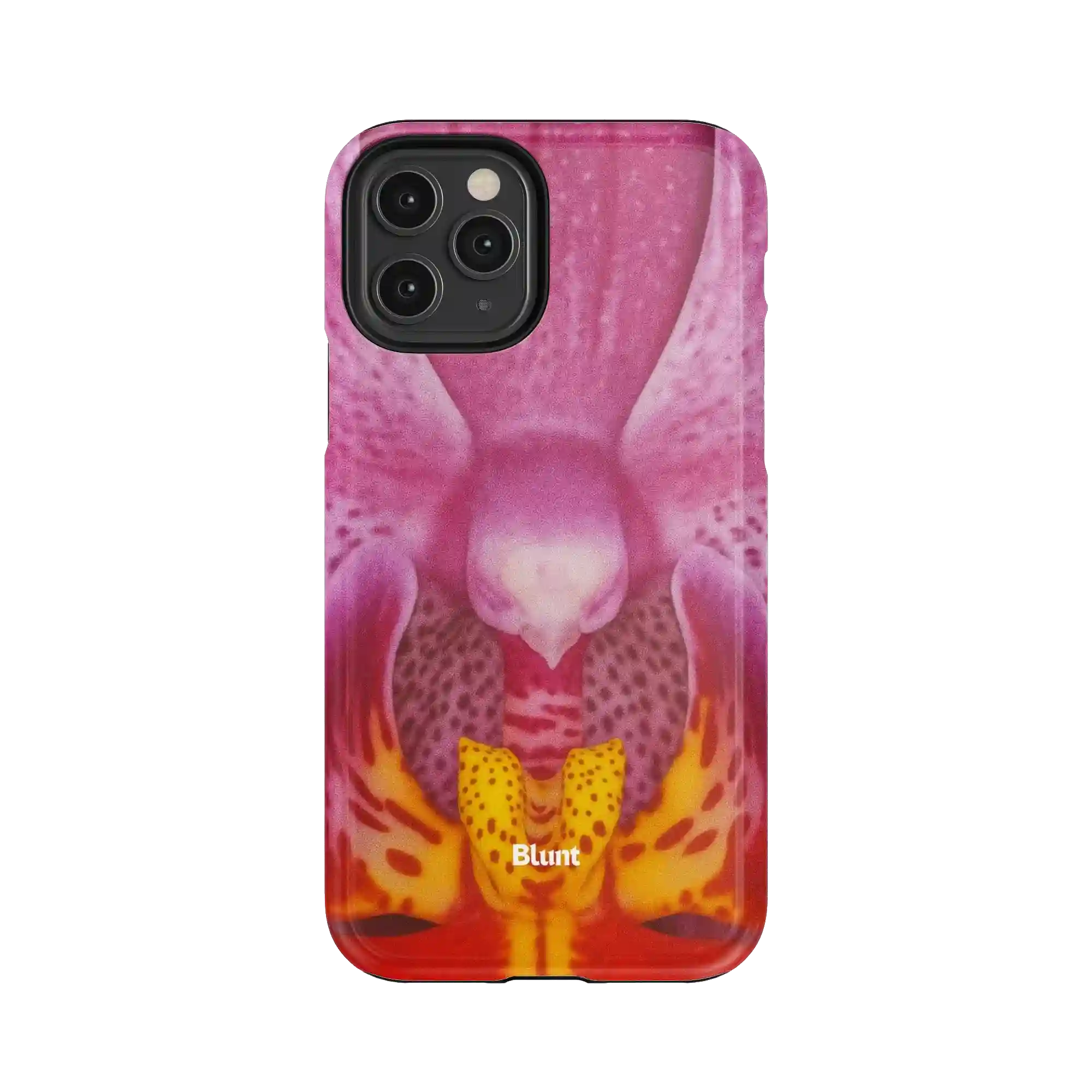 bluntcasesonline.com