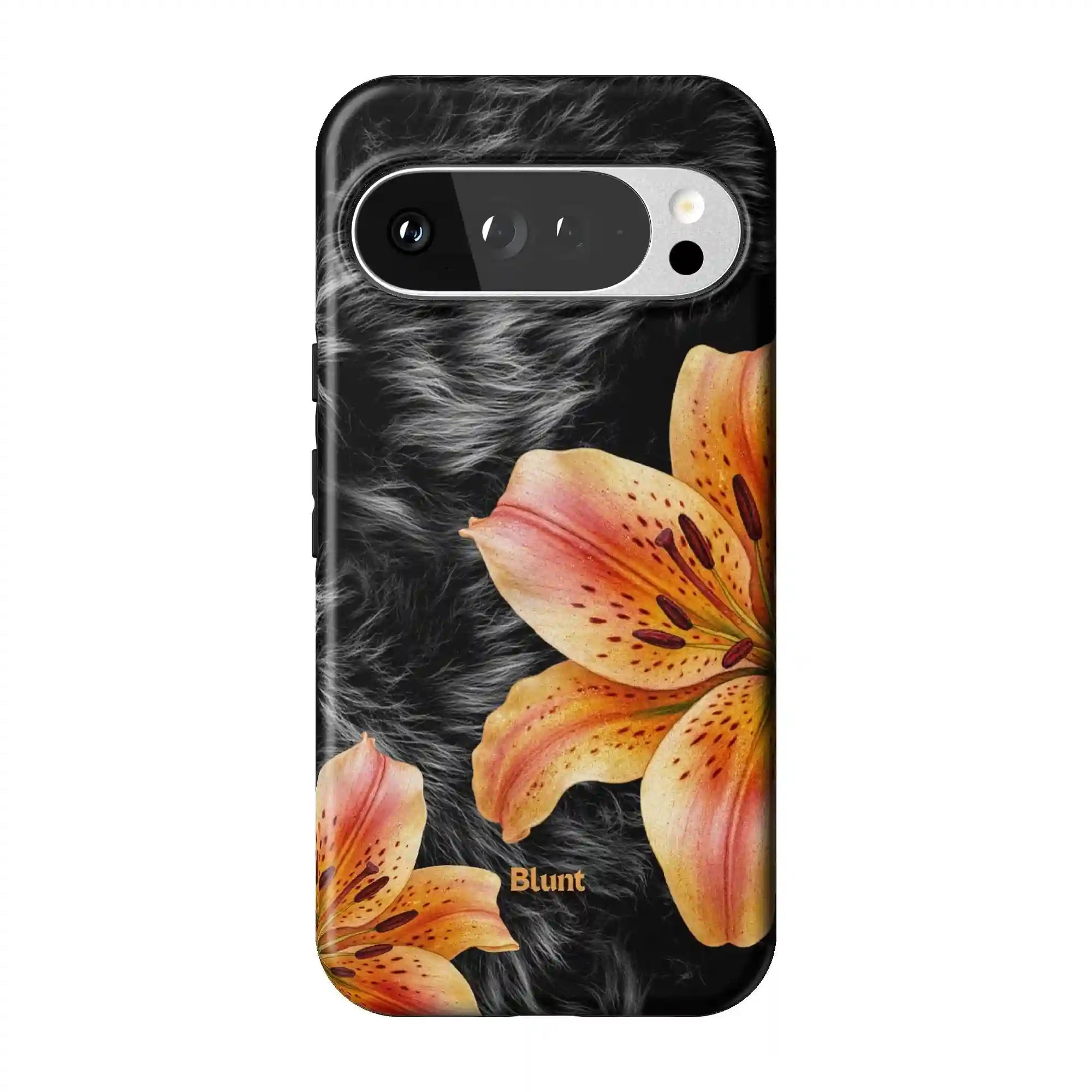 bluntcasesonline.com