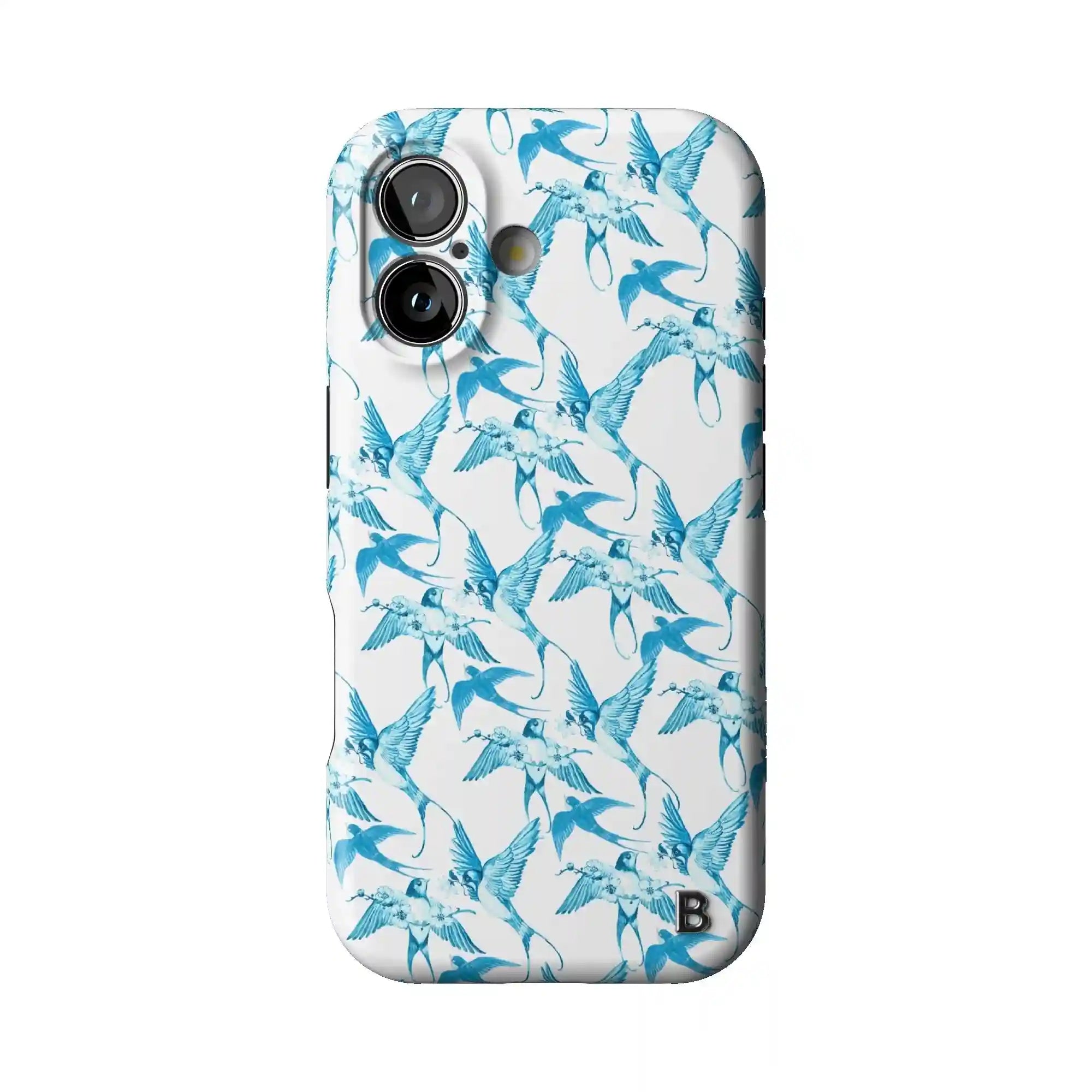 bluntcasesonline.com