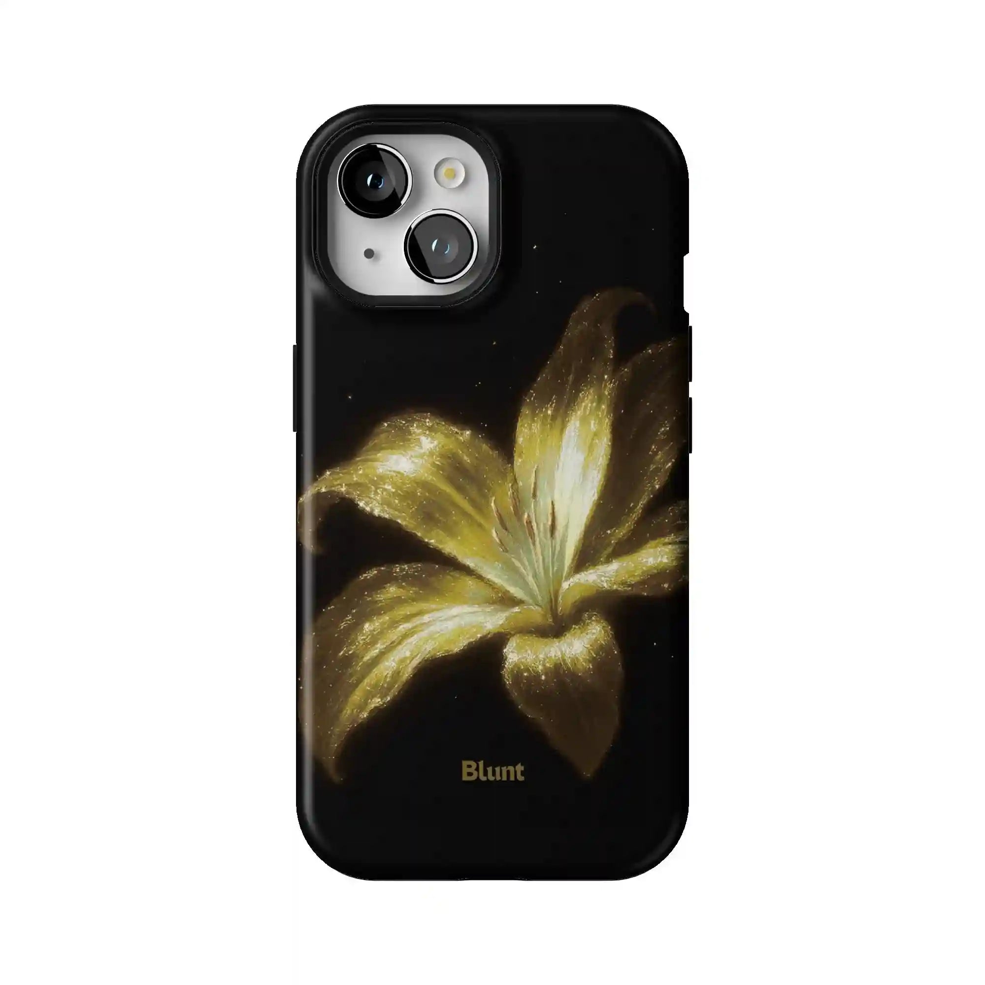 bluntcasesonline.com
