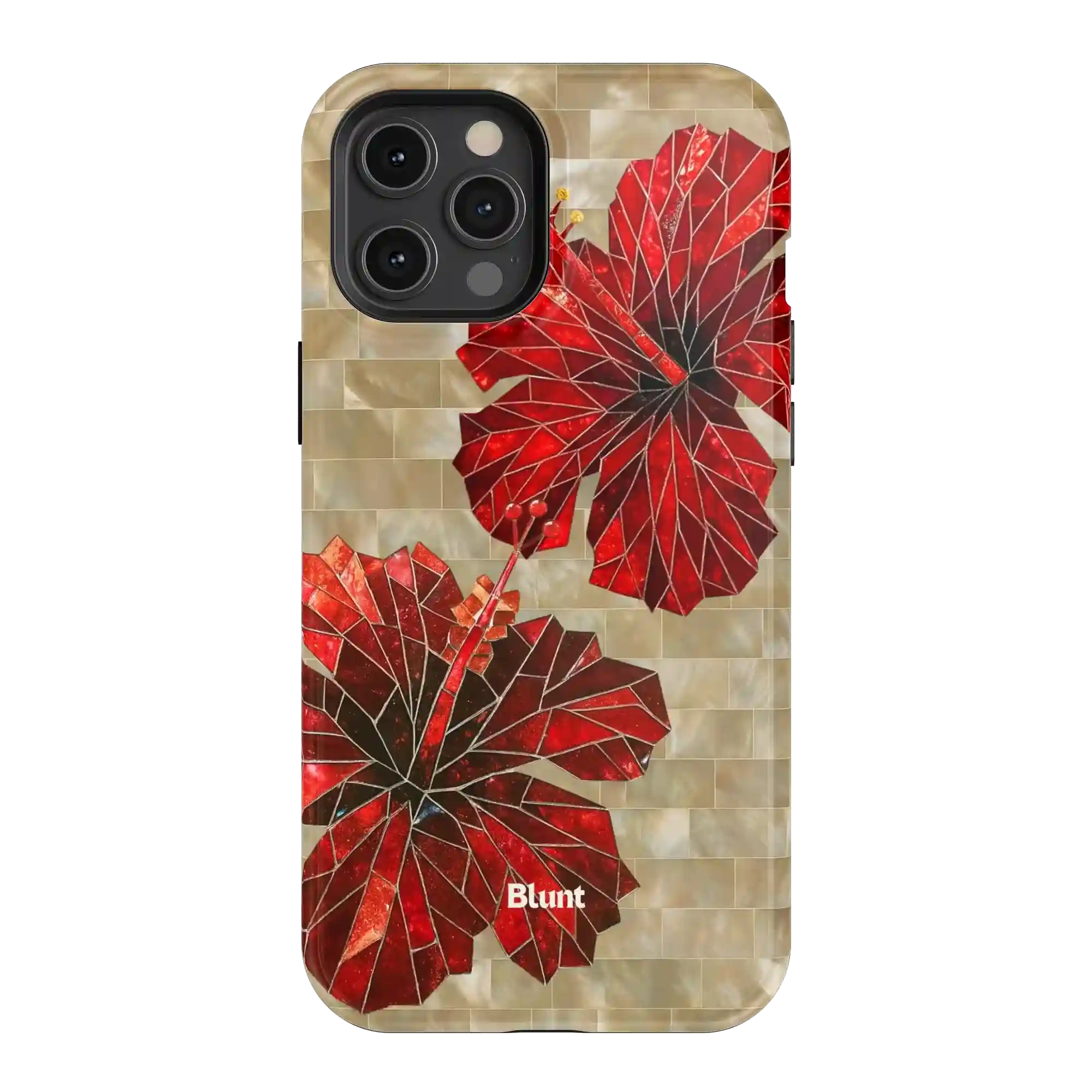 bluntcasesonline.com