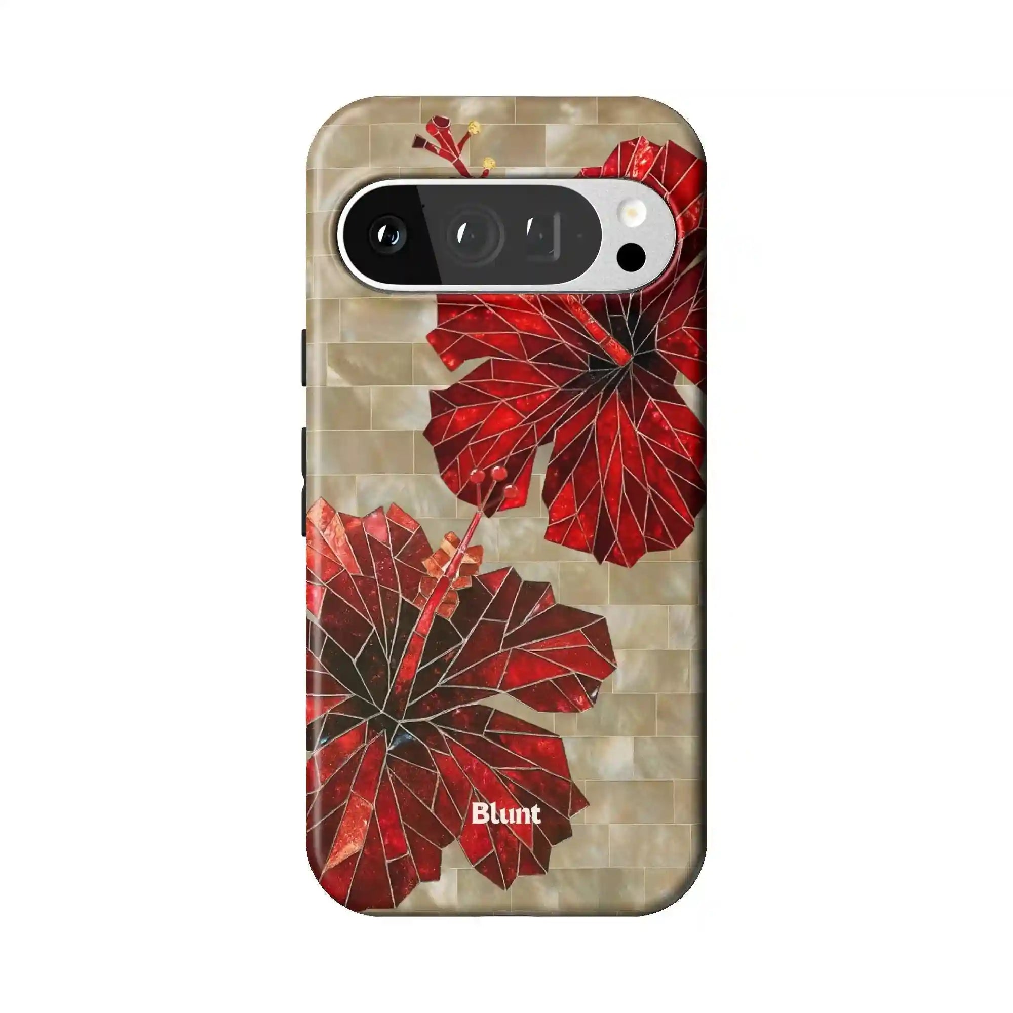 bluntcasesonline.com