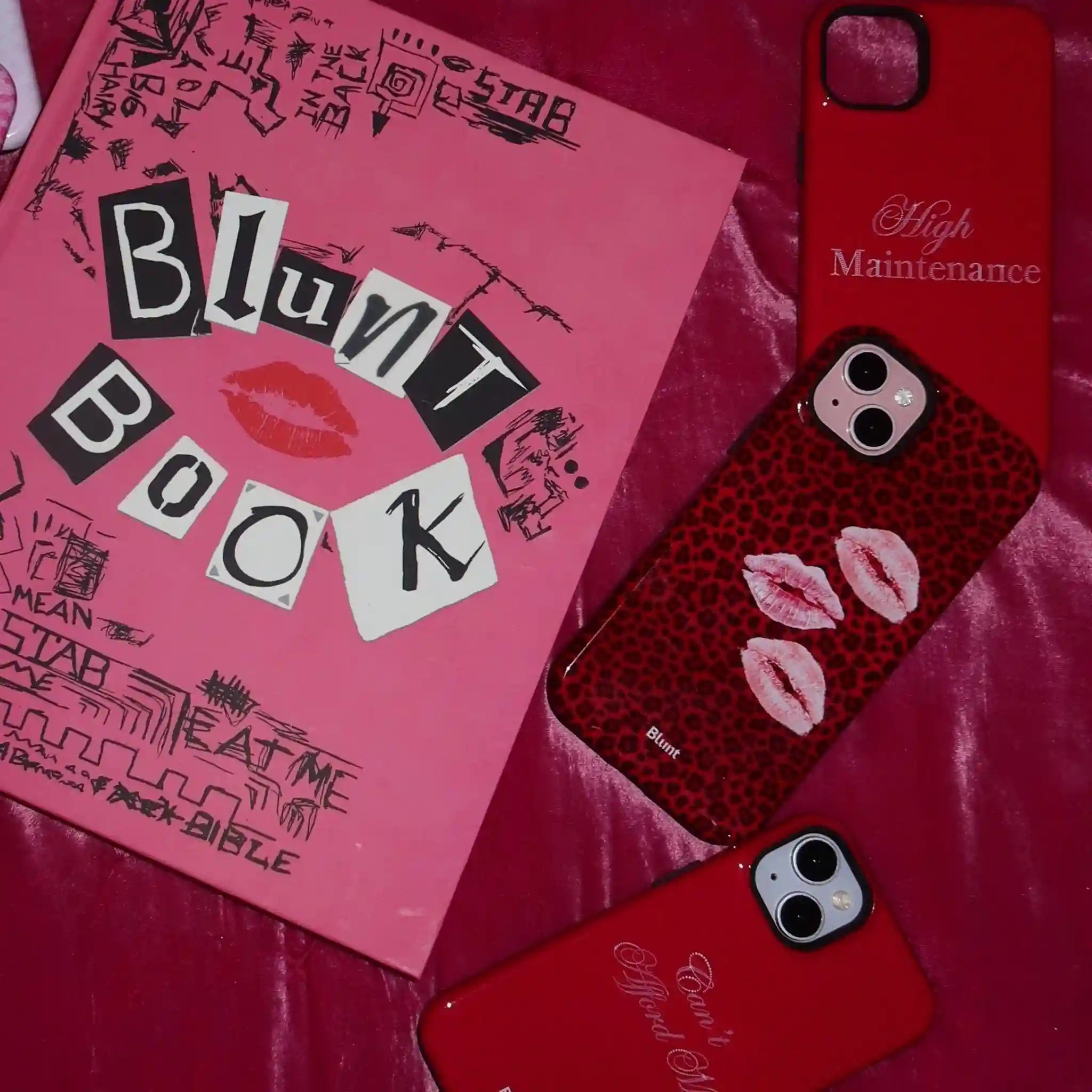 bluntcasesonline.com