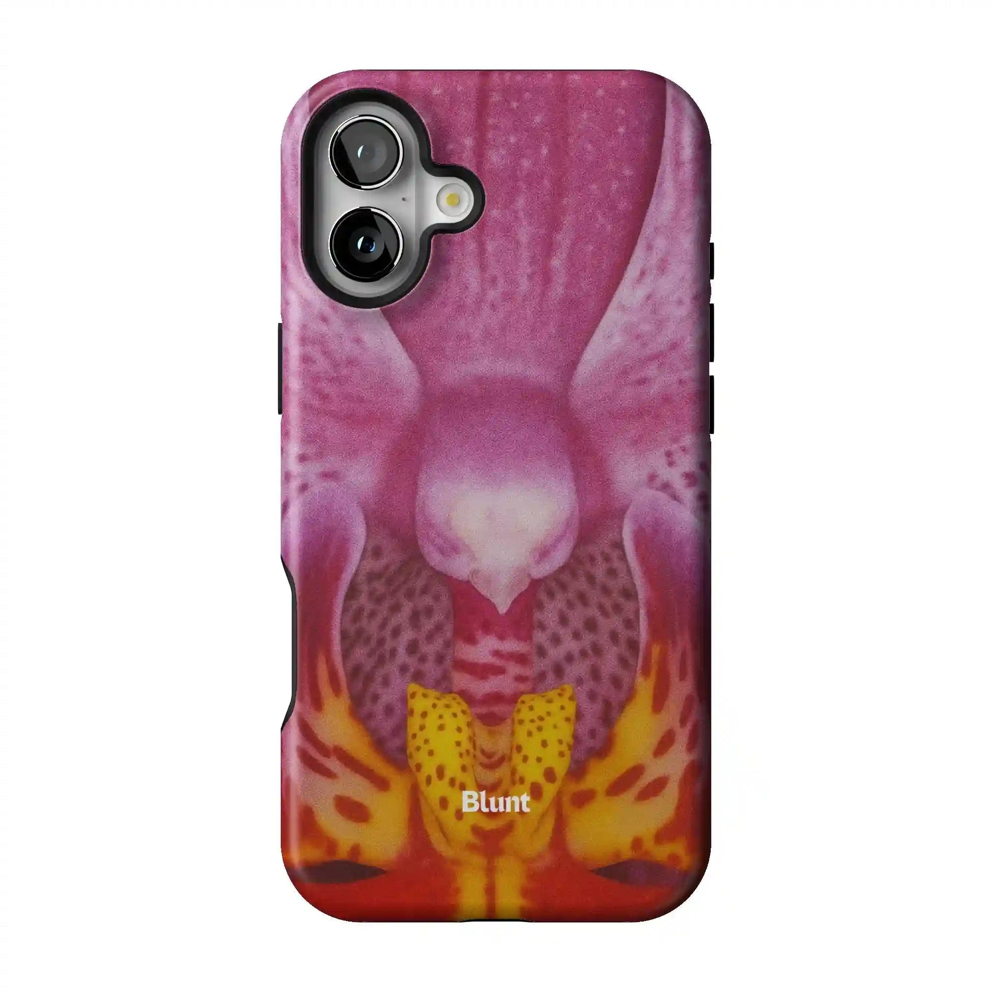 bluntcasesonline.com