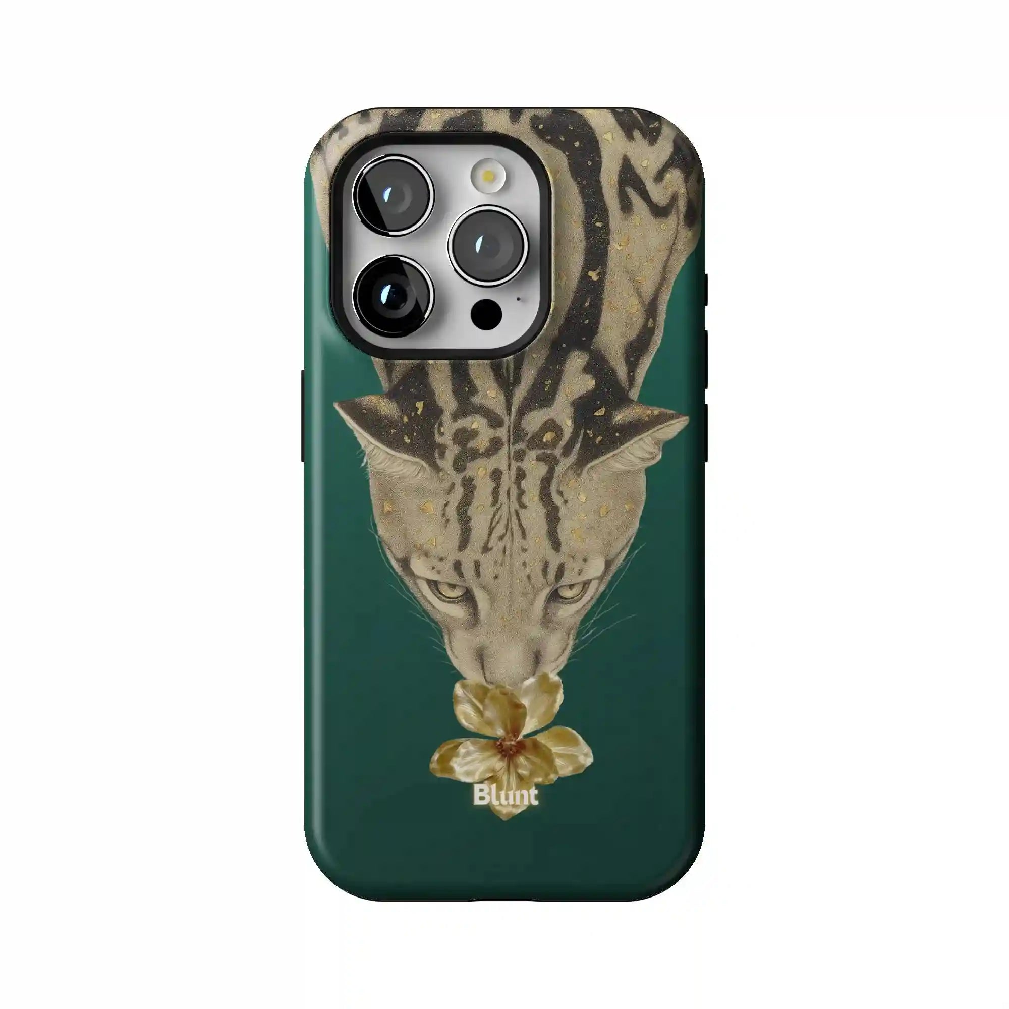 bluntcasesonline.com