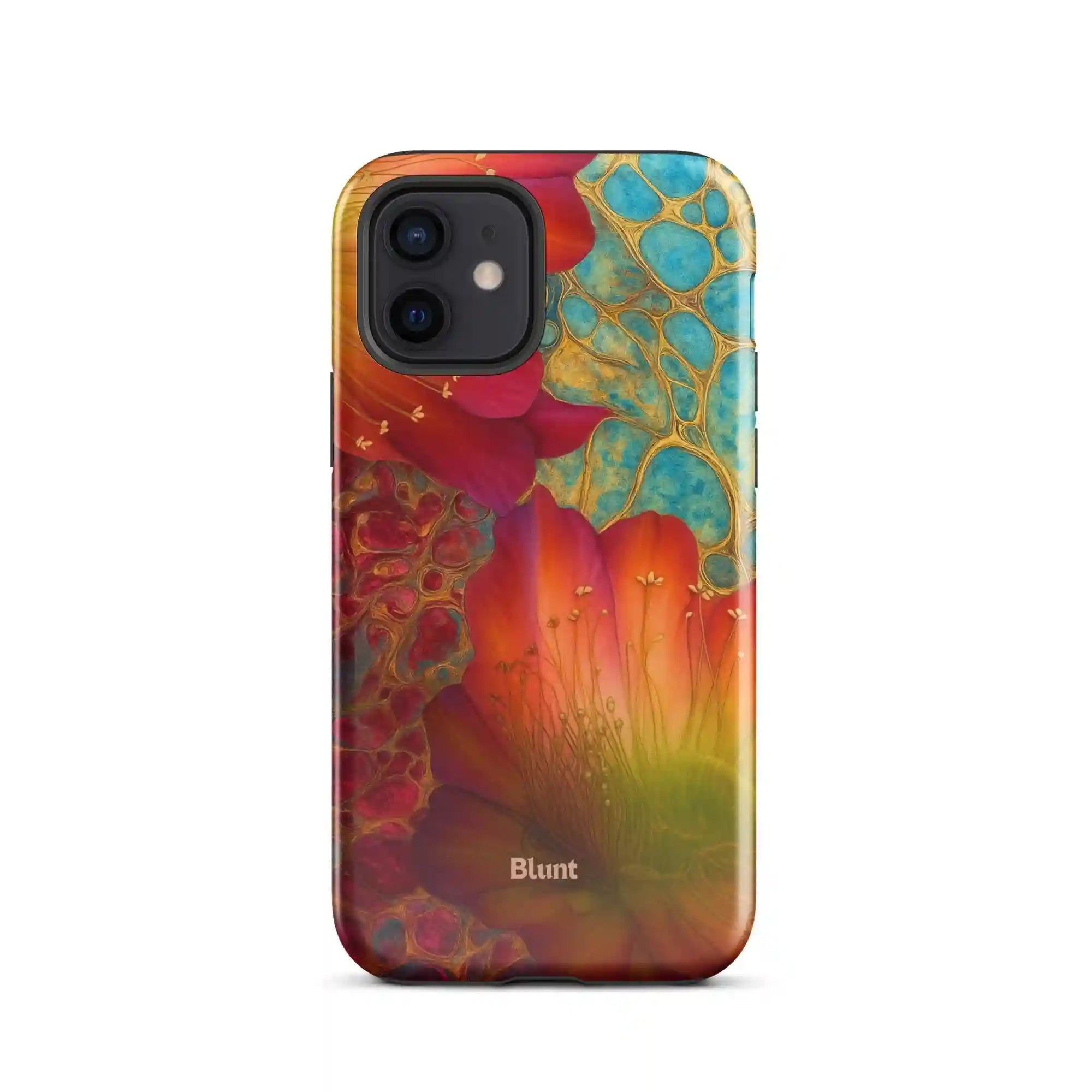 bluntcasesonline.com