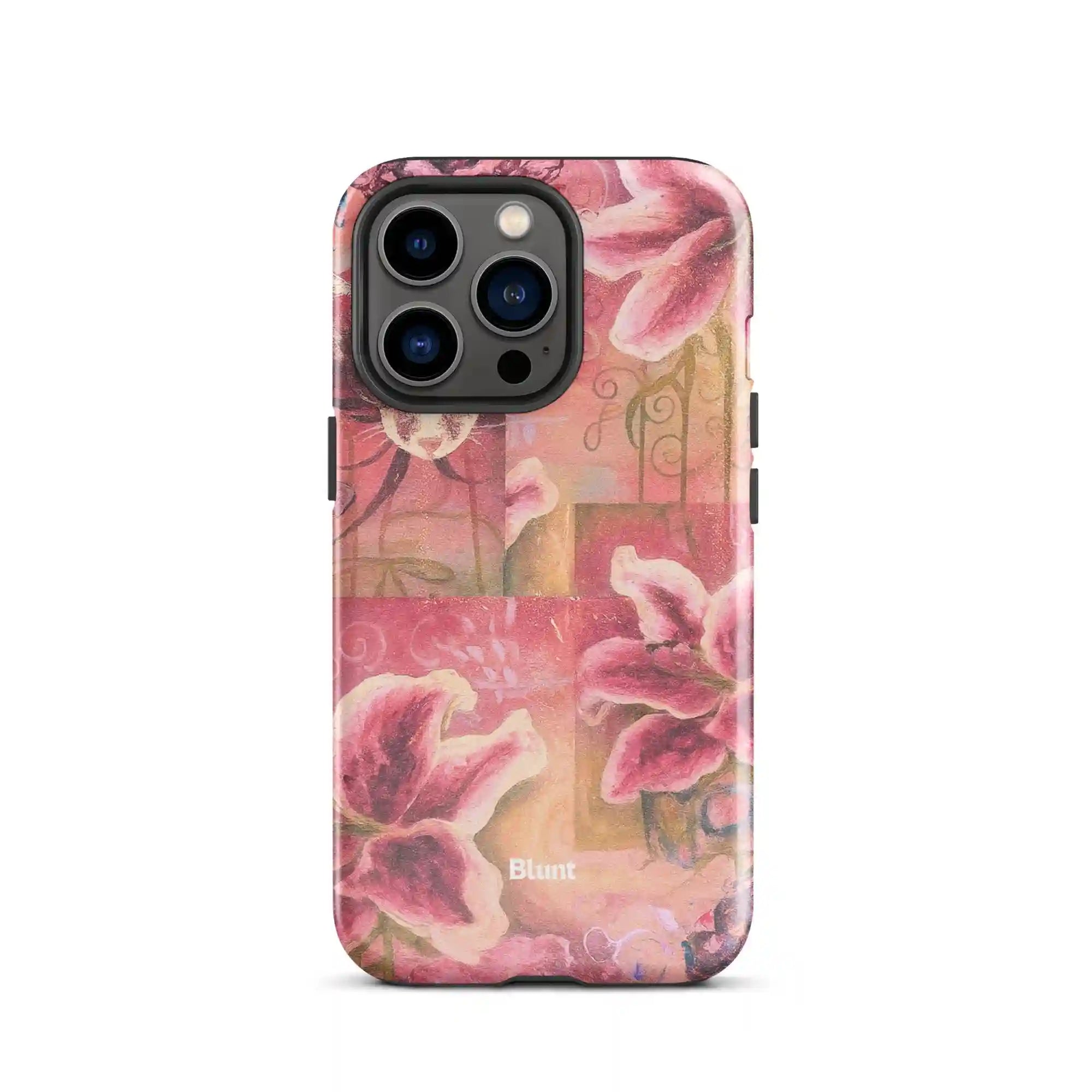 bluntcasesonline.com
