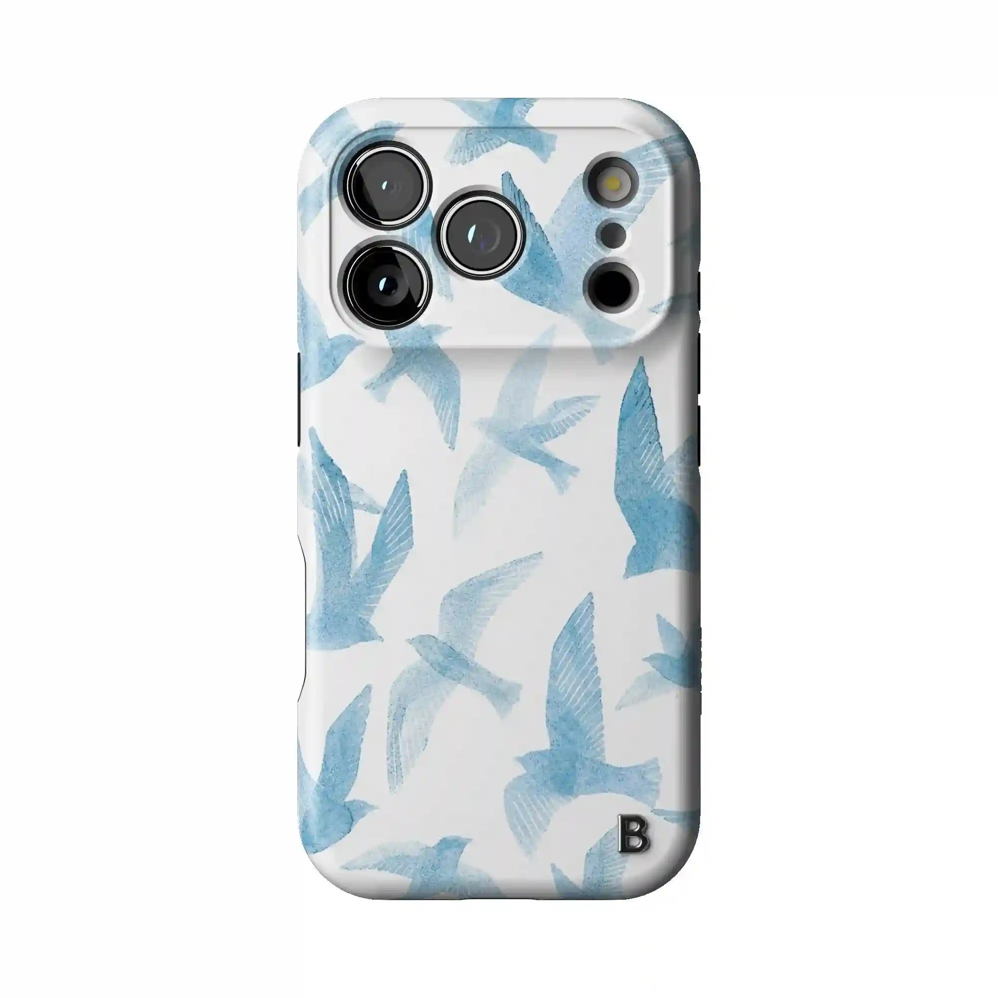 bluntcasesonline.com
