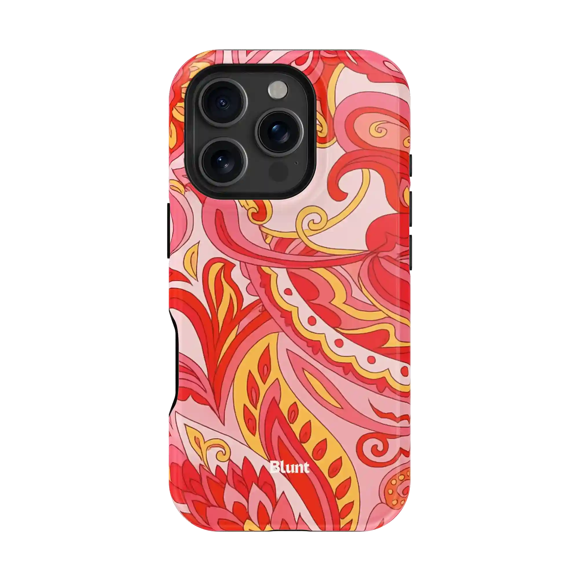 bluntcasesonline.com