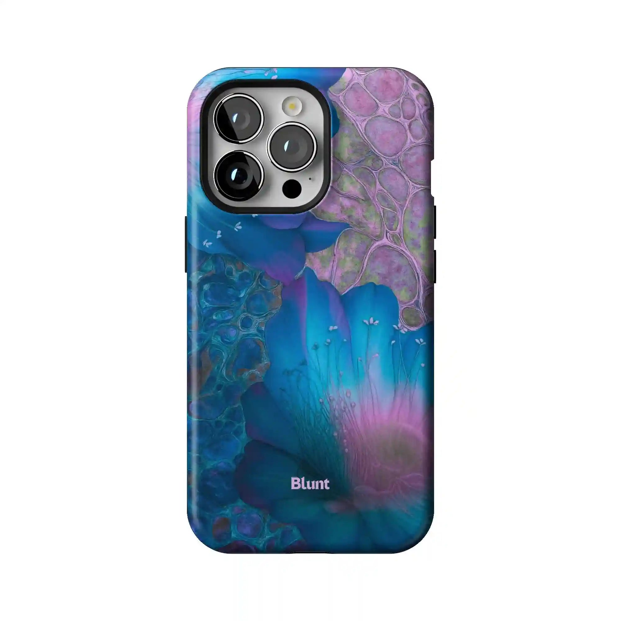 bluntcasesonline.com