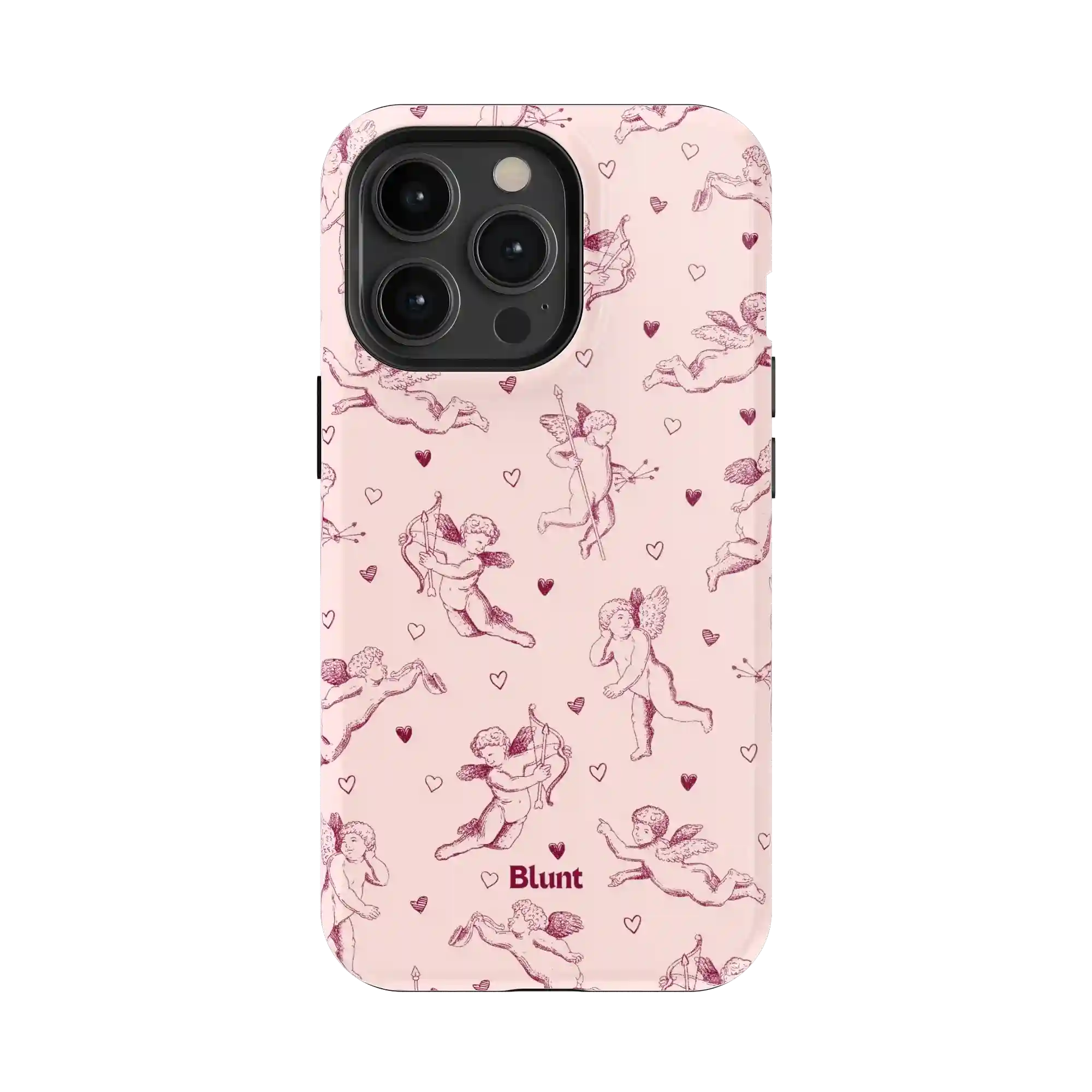 bluntcasesonline.com