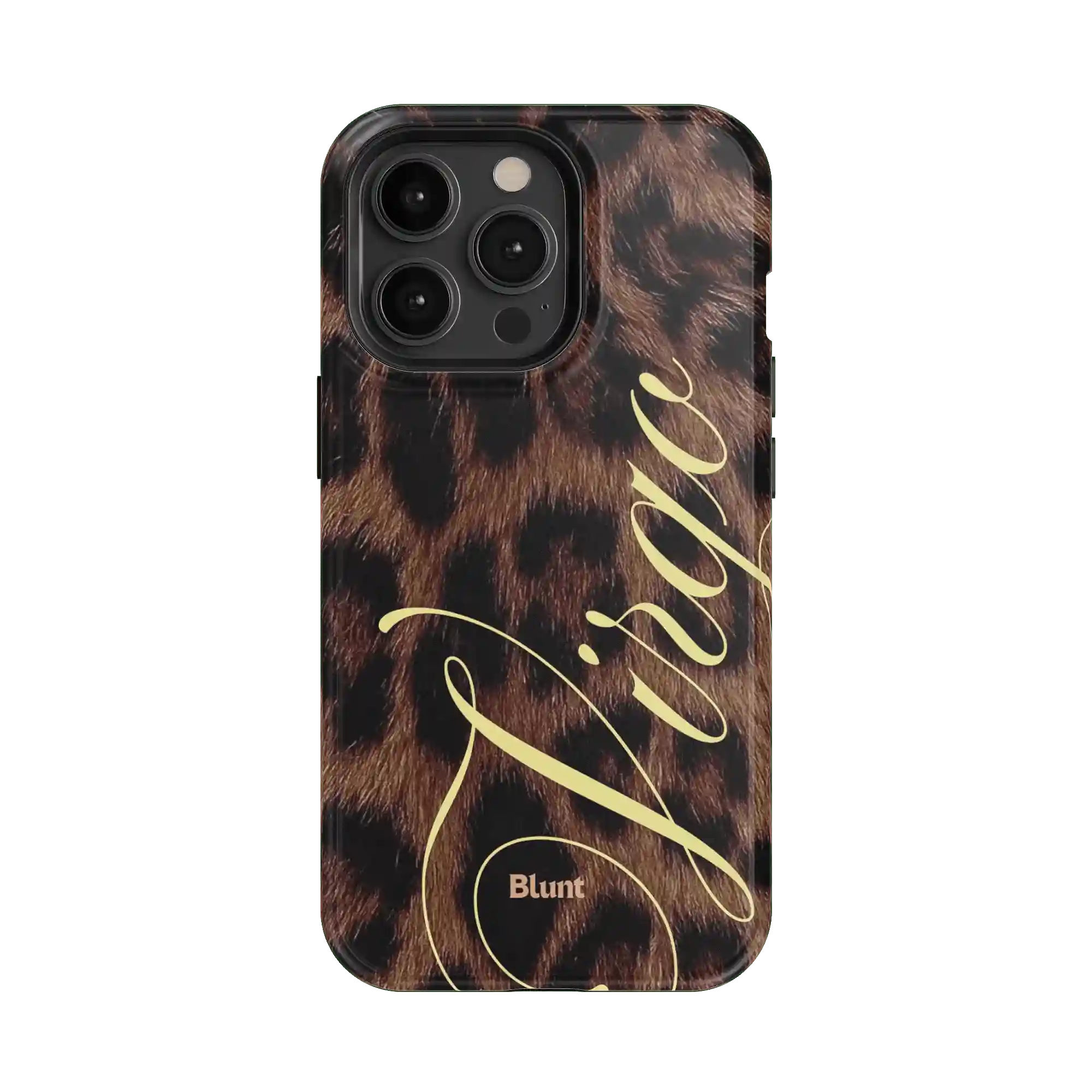 bluntcasesonline.com
