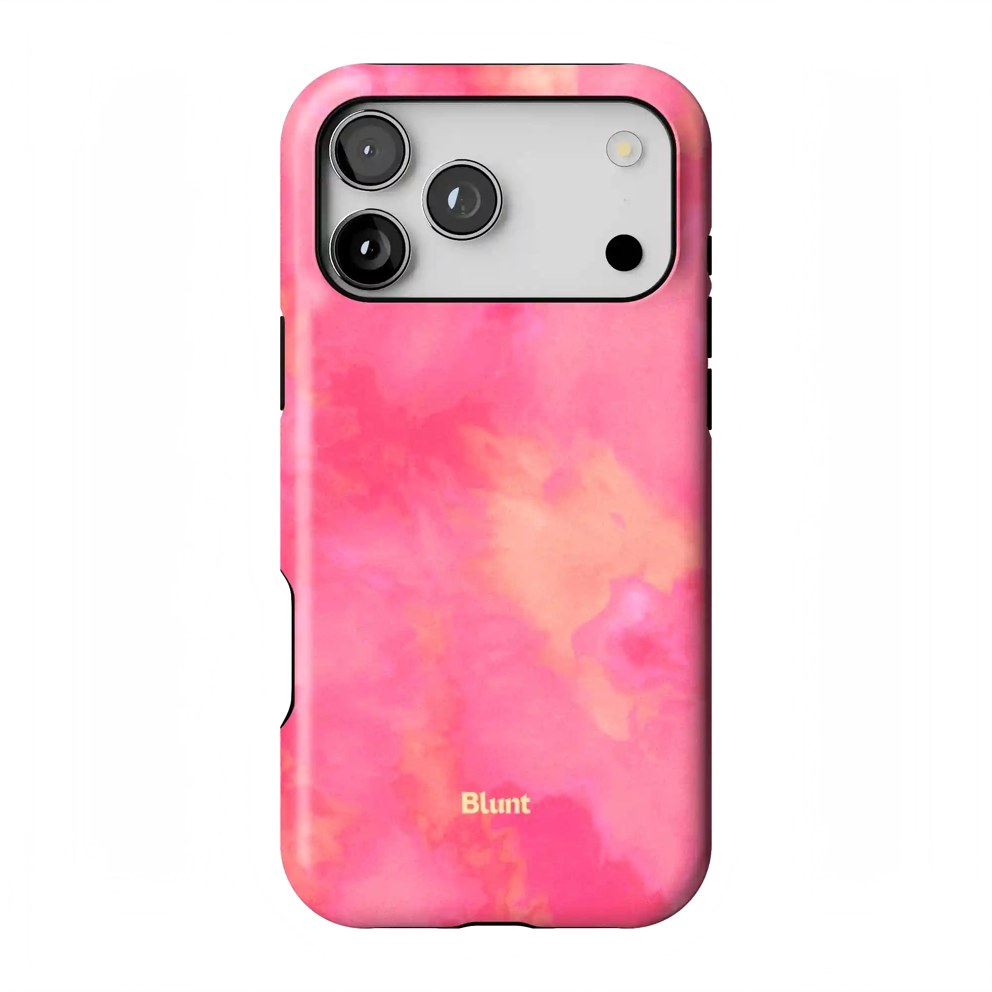 bluntcasesonline.com