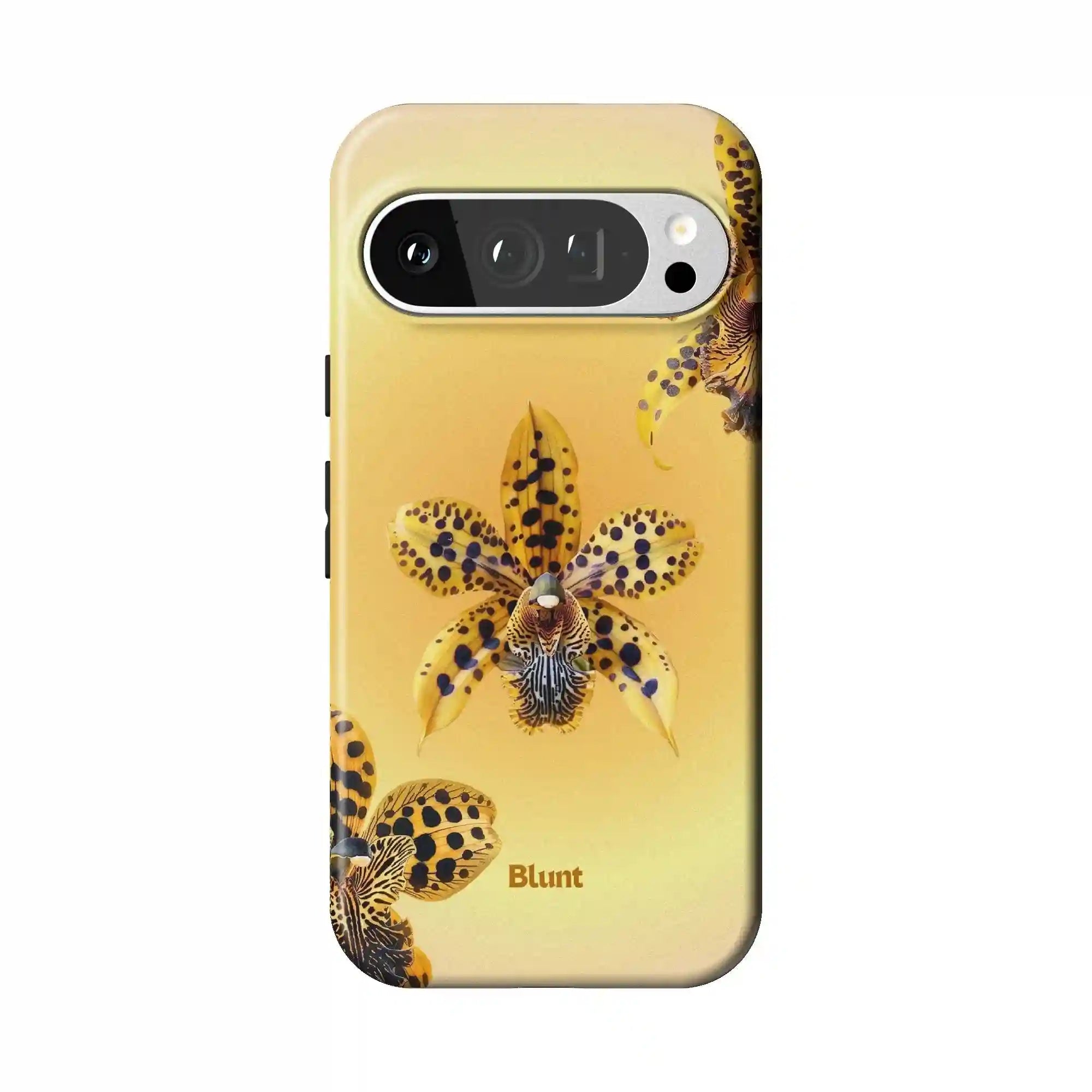 bluntcasesonline.com