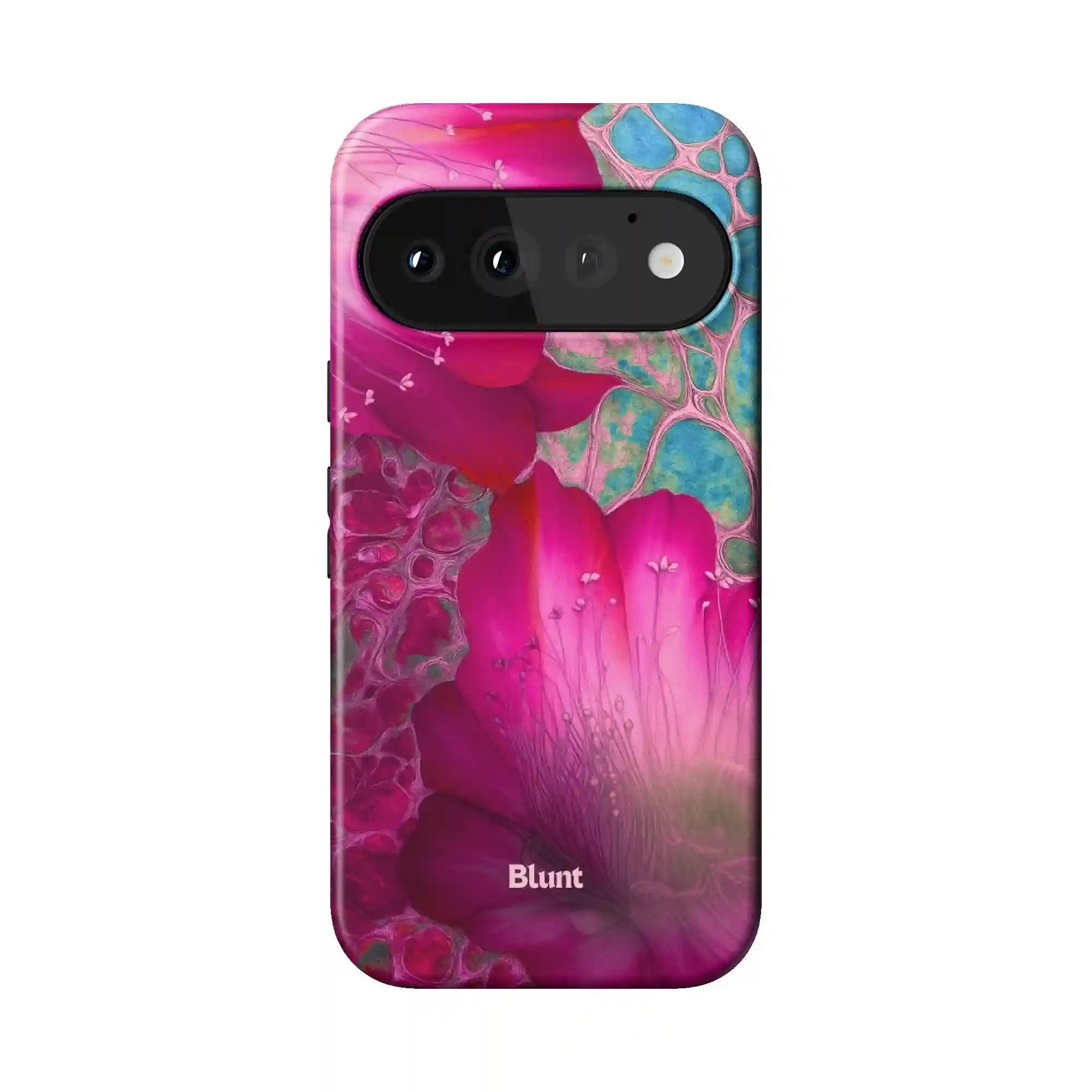 bluntcasesonline.com