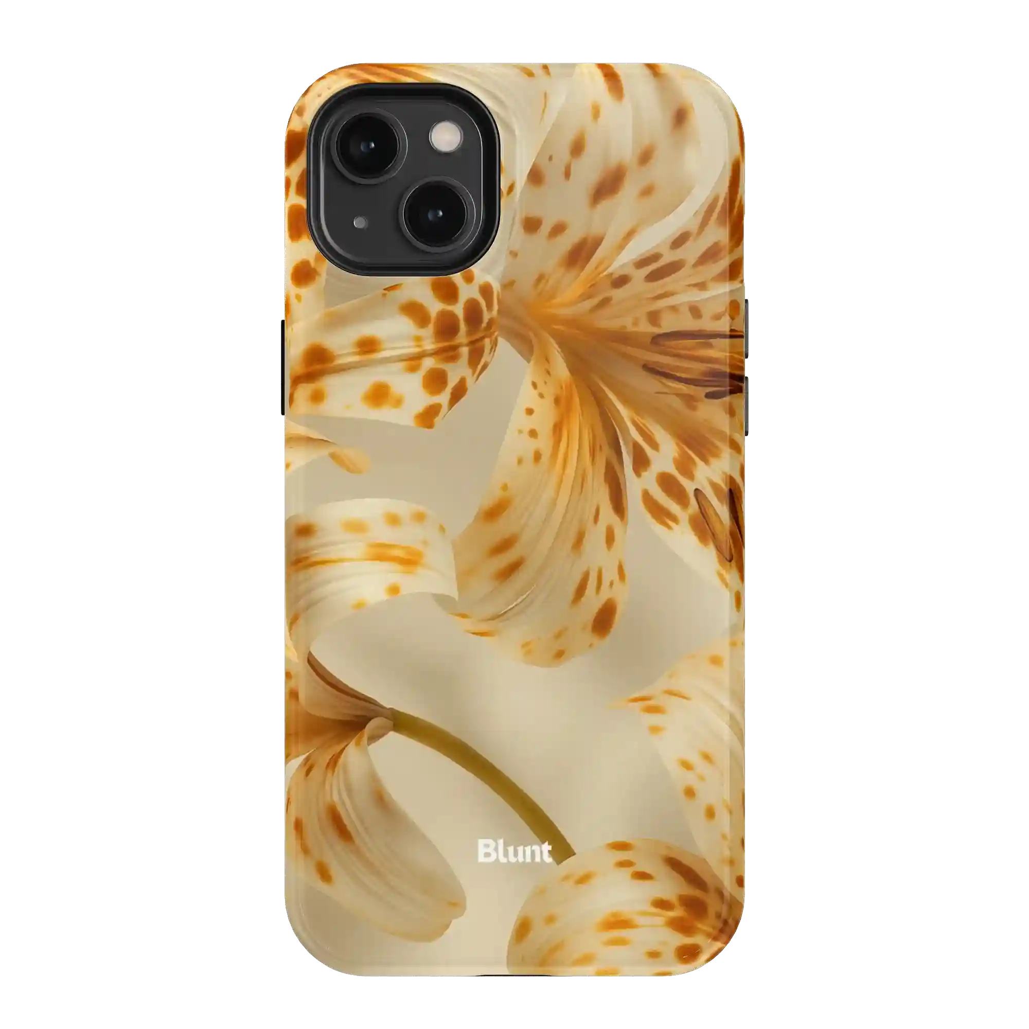 bluntcasesonline.com