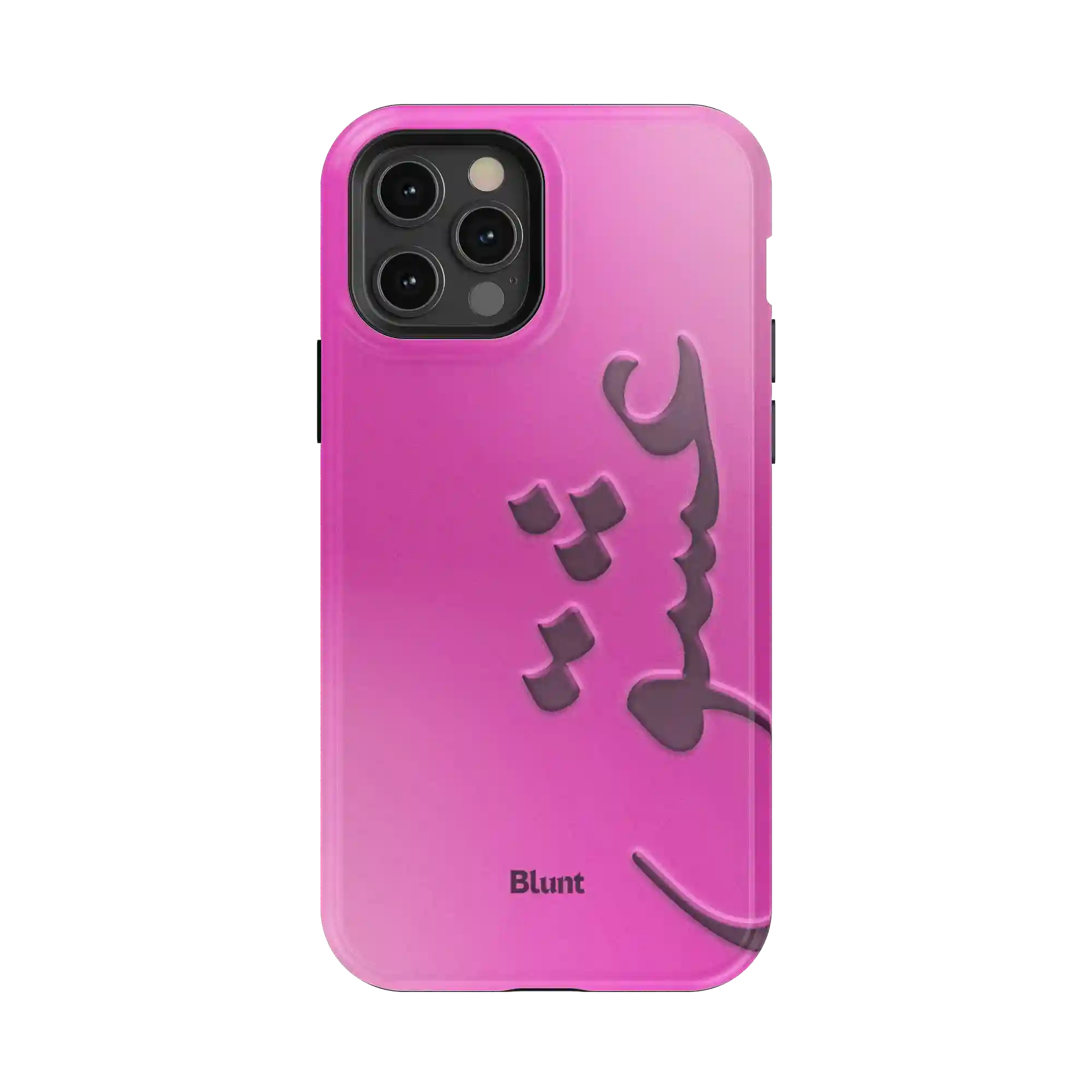 bluntcasesonline.com