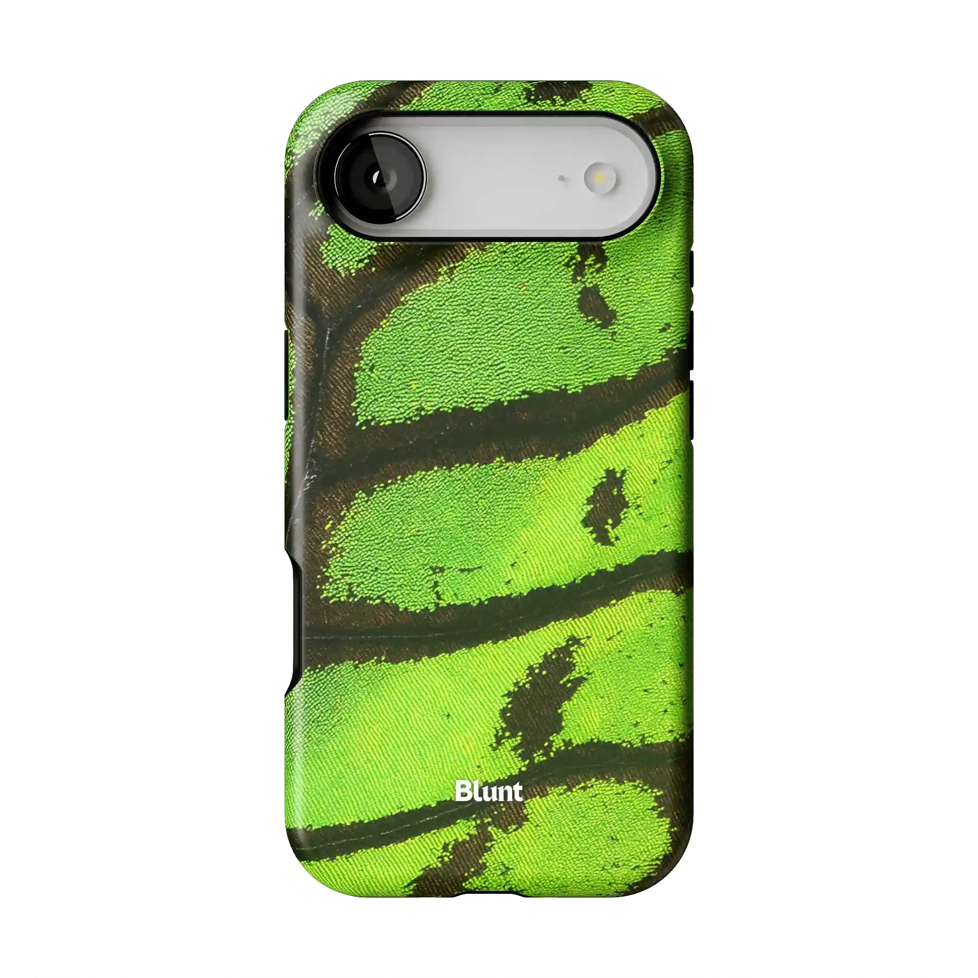 bluntcasesonline.com