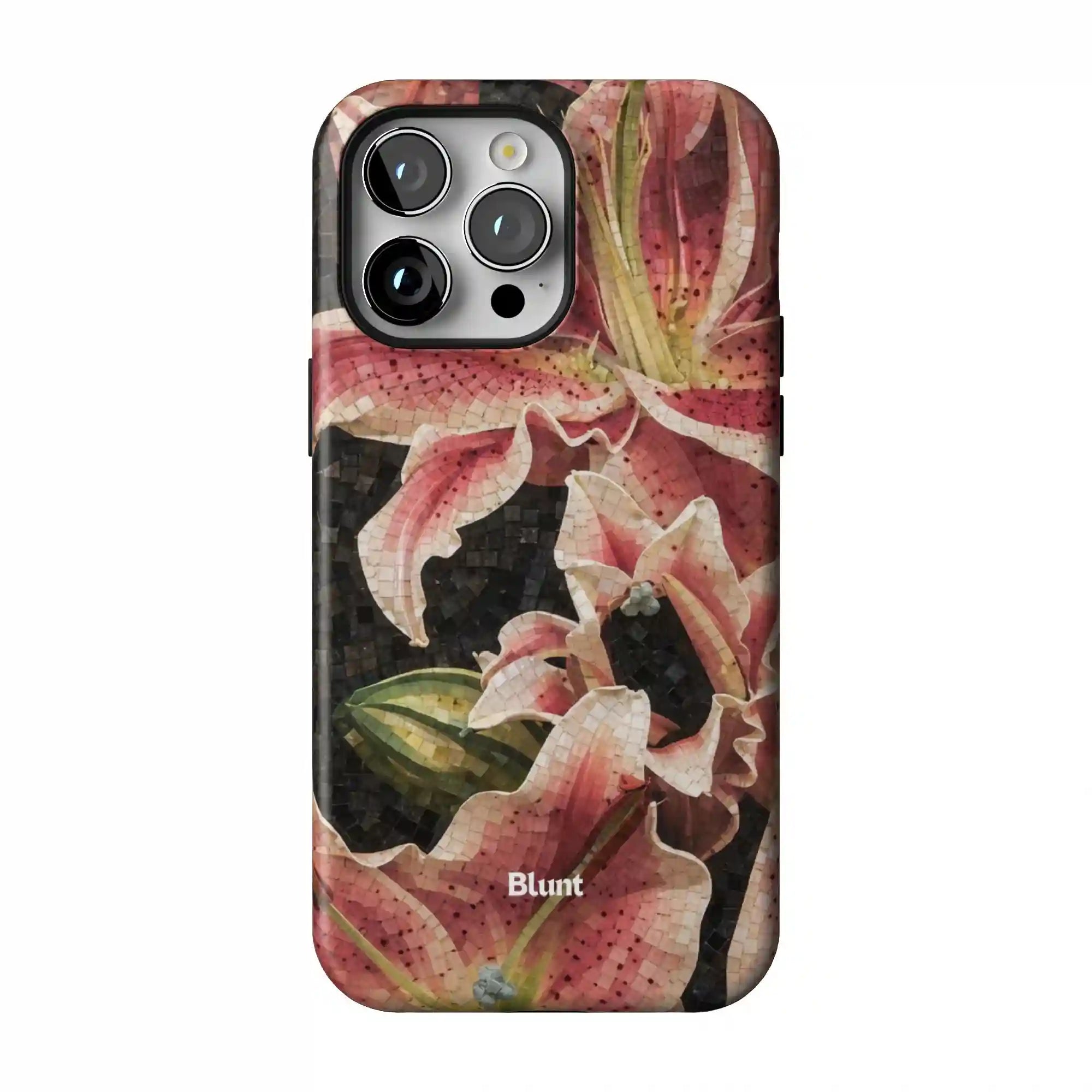 bluntcasesonline.com
