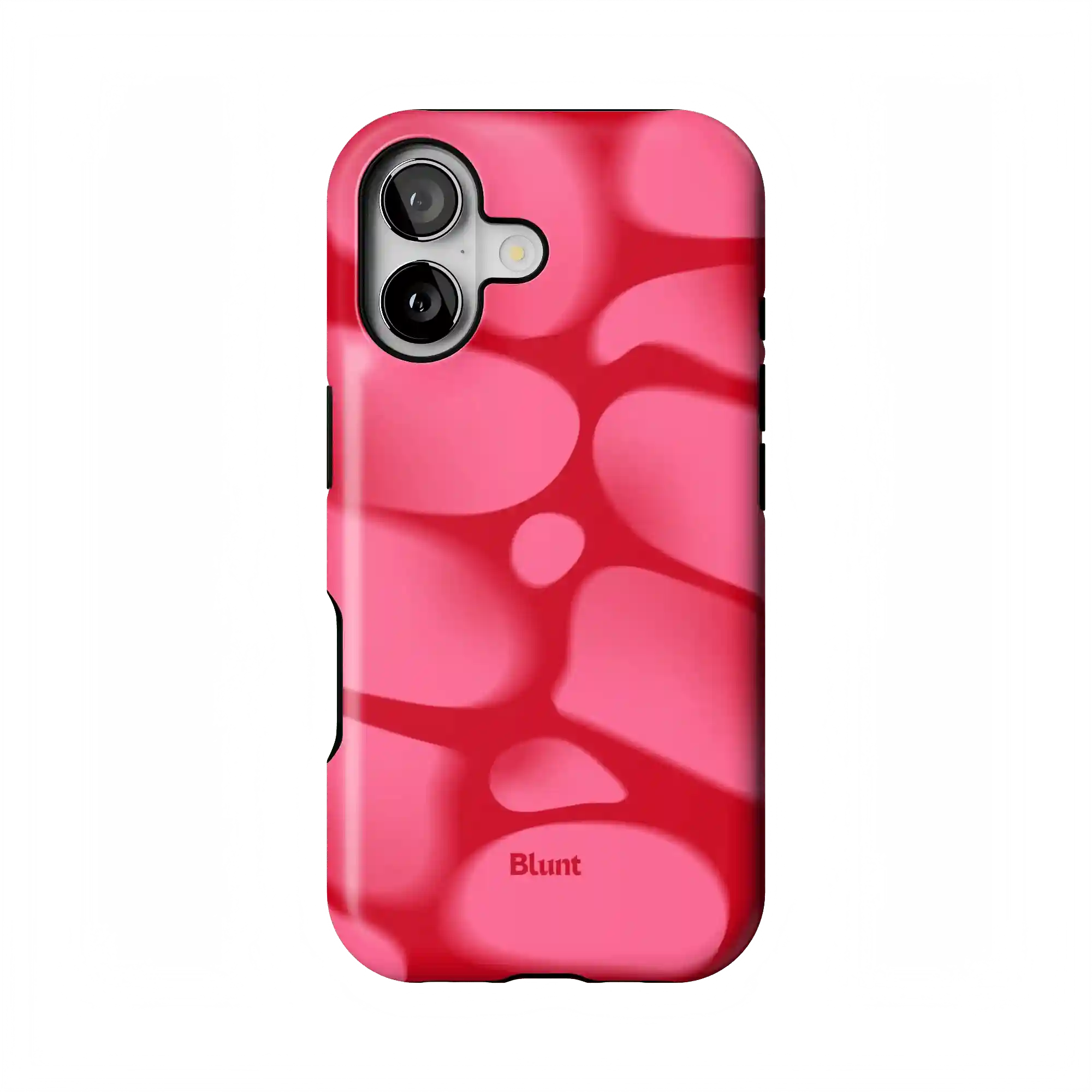 bluntcasesonline.com