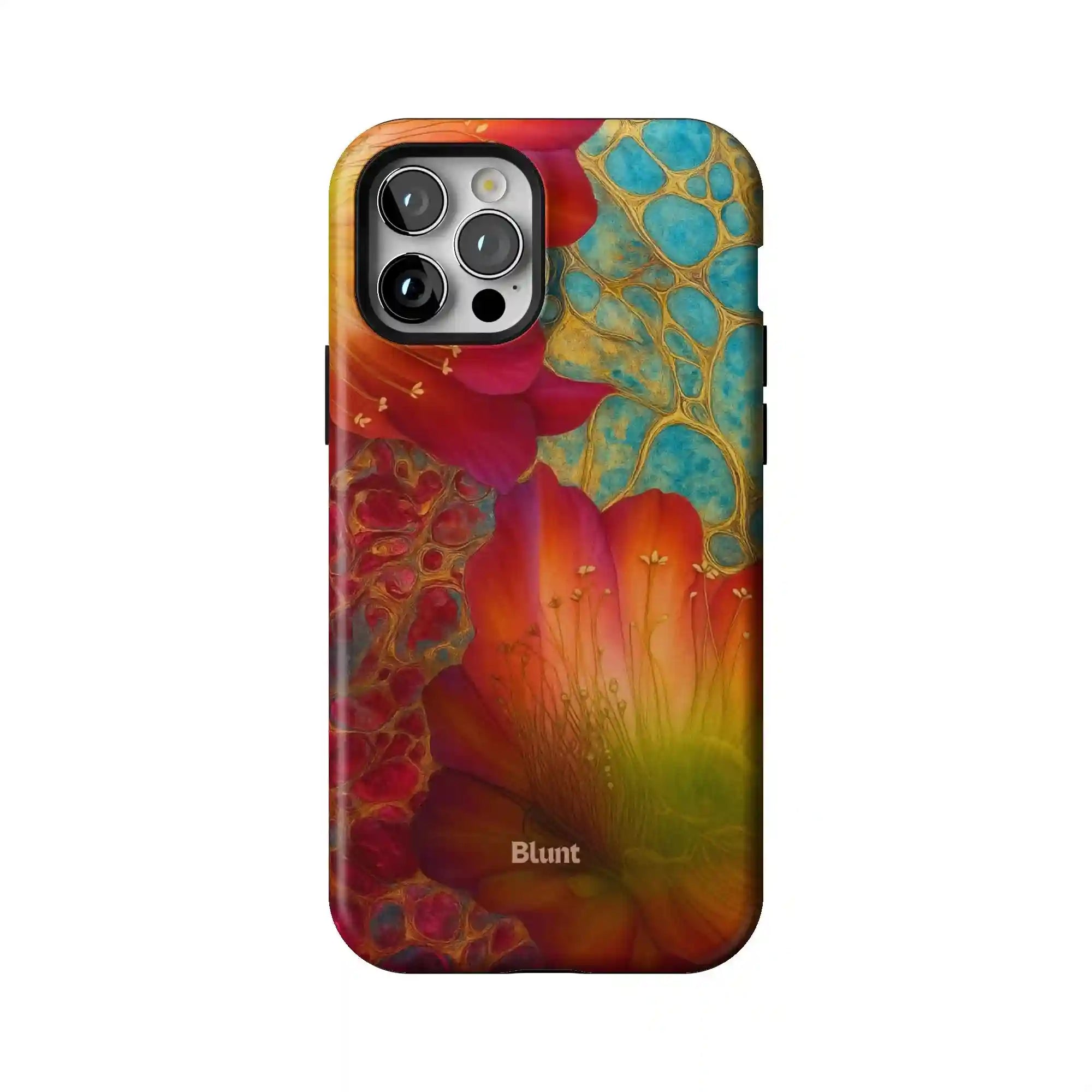 bluntcasesonline.com