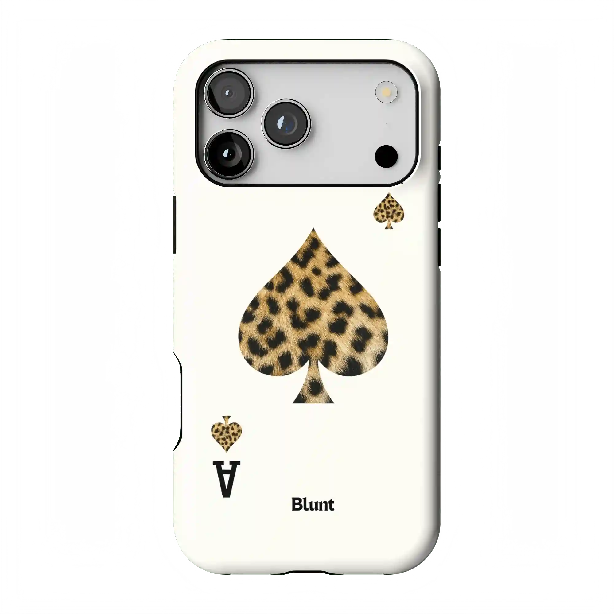 bluntcasesonline.com