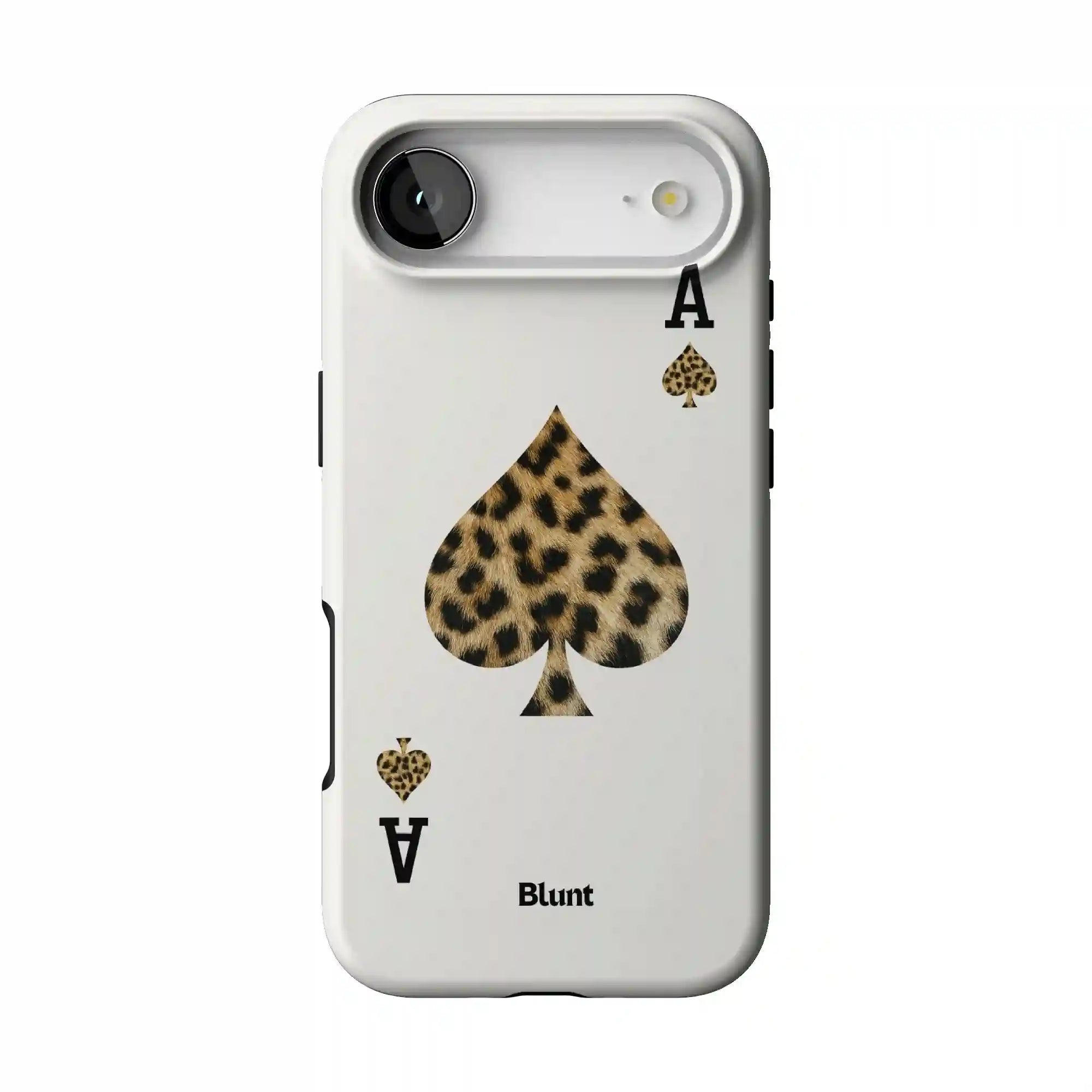 bluntcasesonline.com
