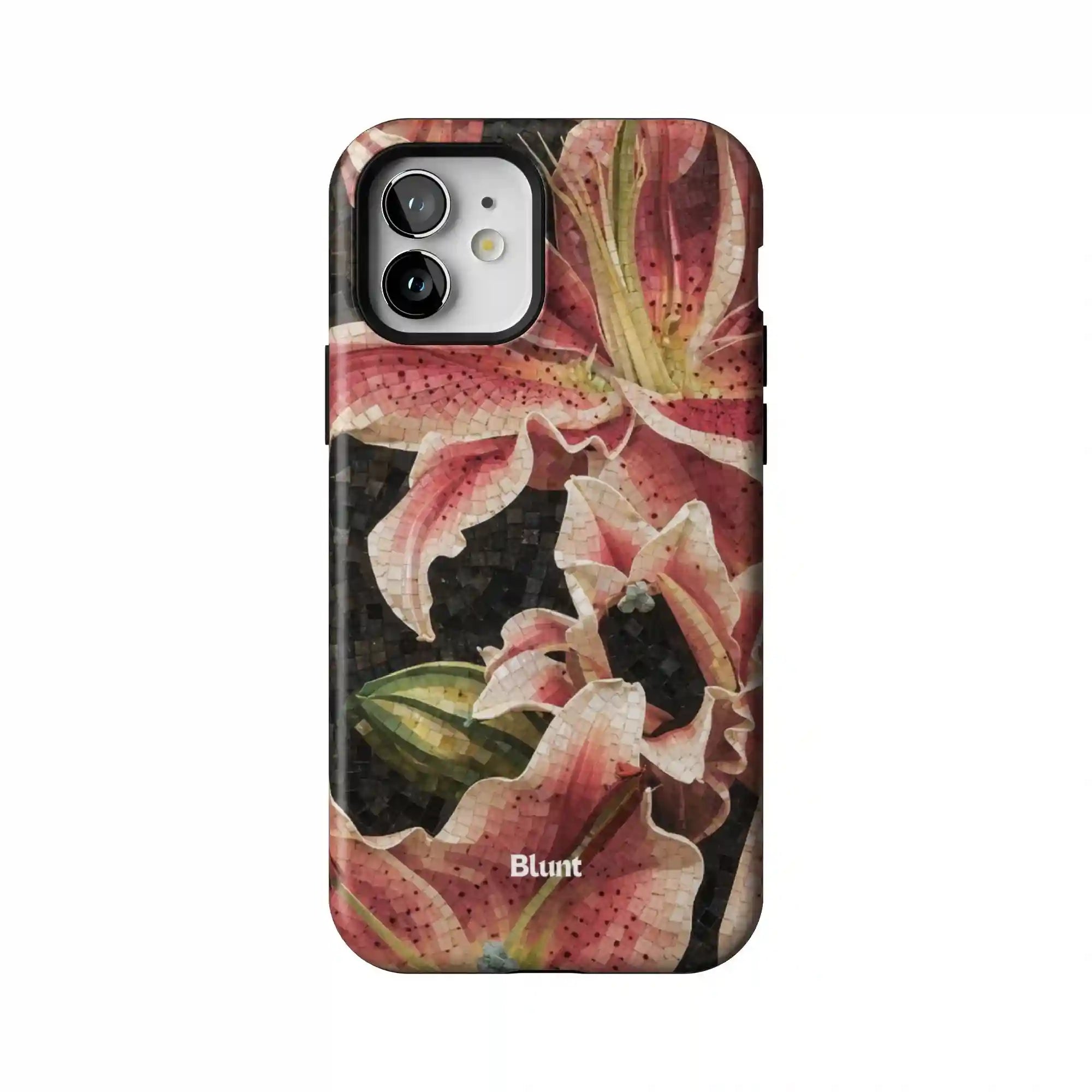 bluntcasesonline.com