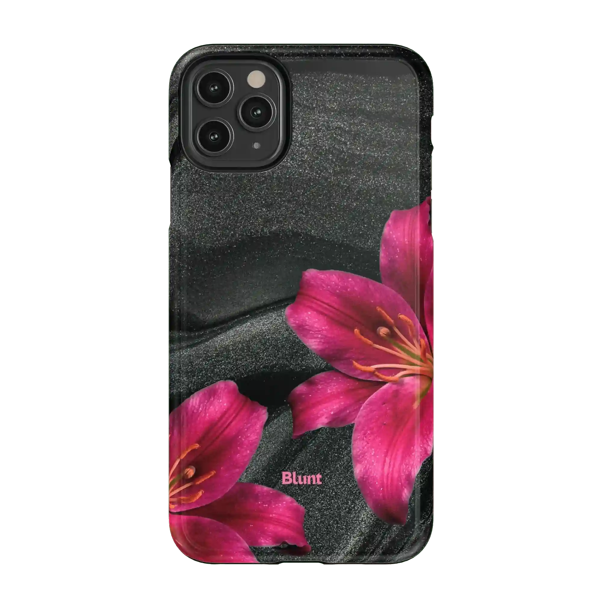 bluntcasesonline.com