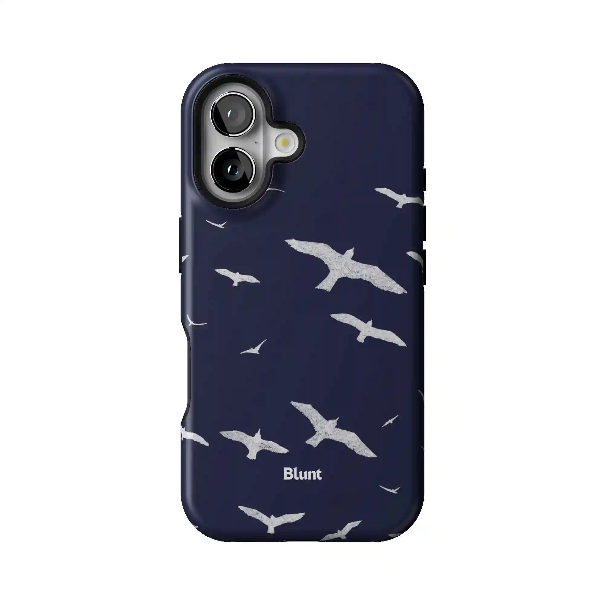 bluntcasesonline.com
