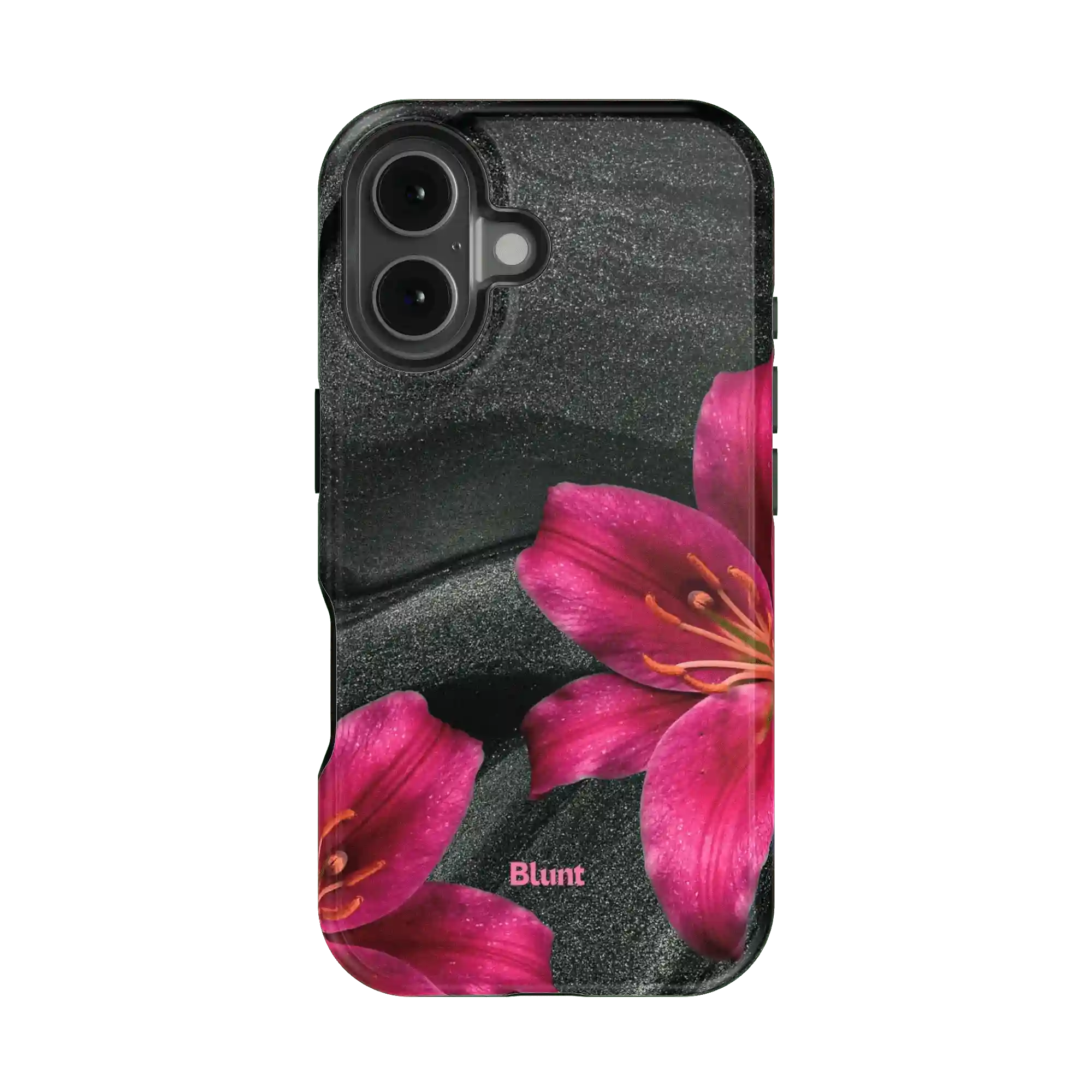 bluntcasesonline.com