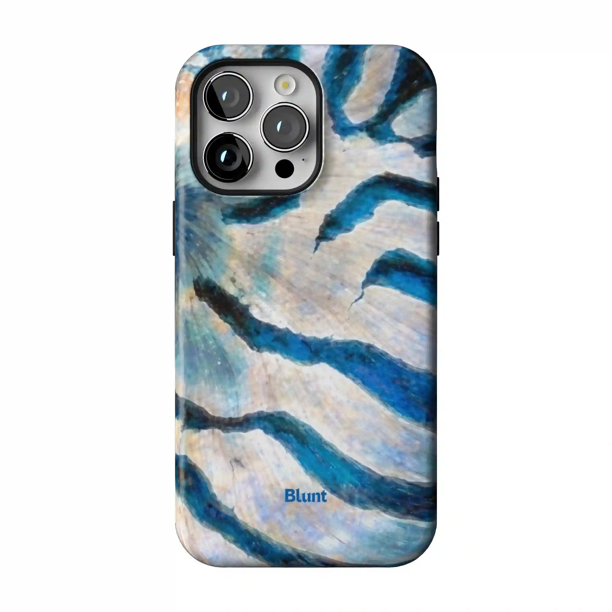 bluntcasesonline.com
