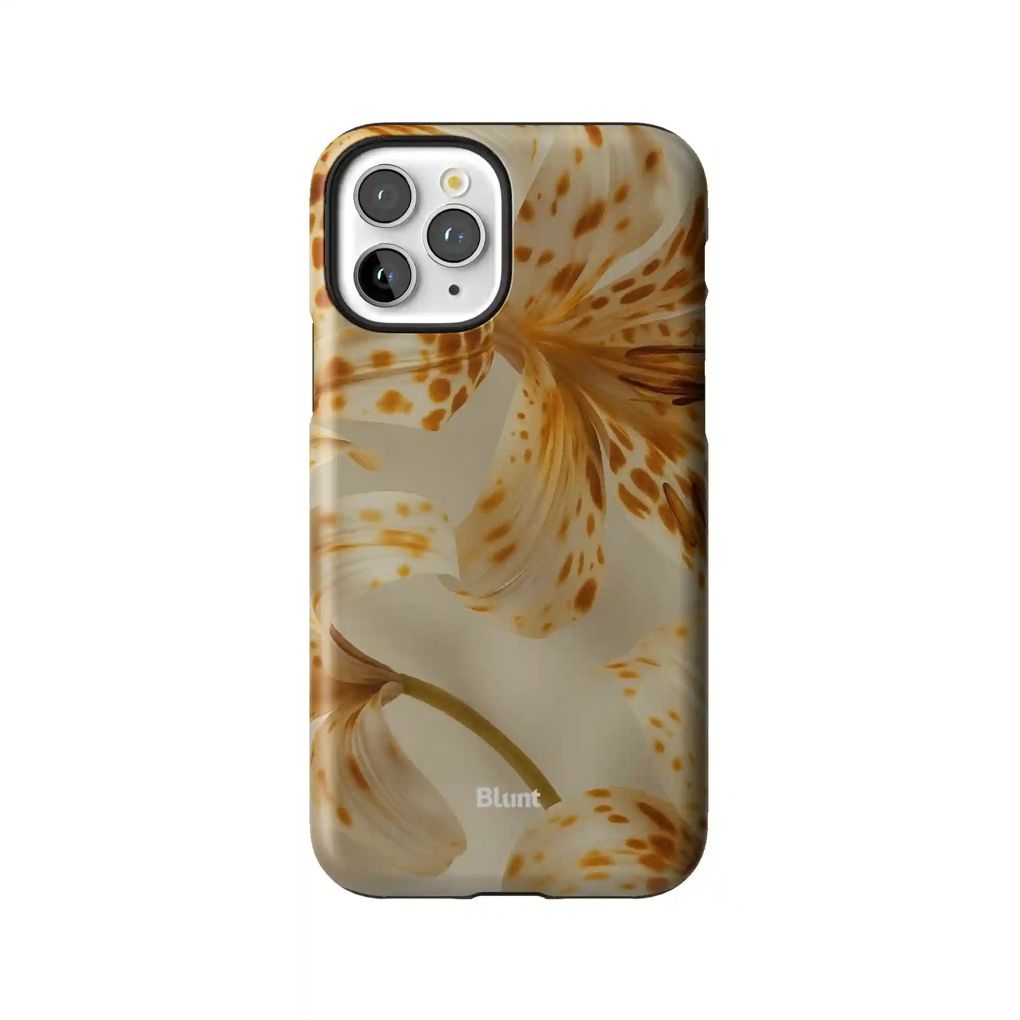 bluntcasesonline.com