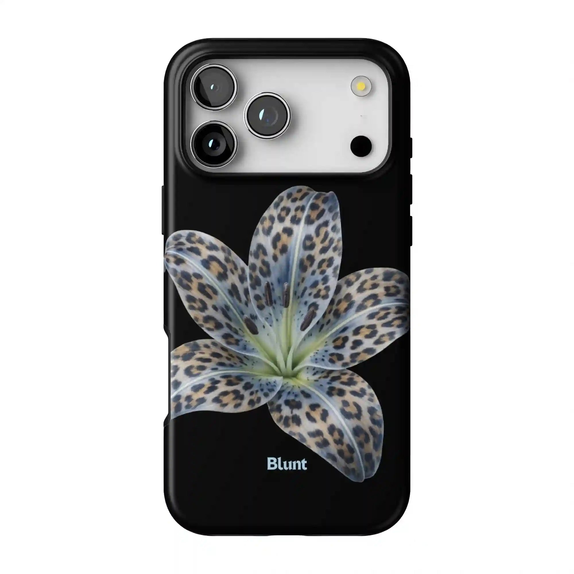 bluntcasesonline.com