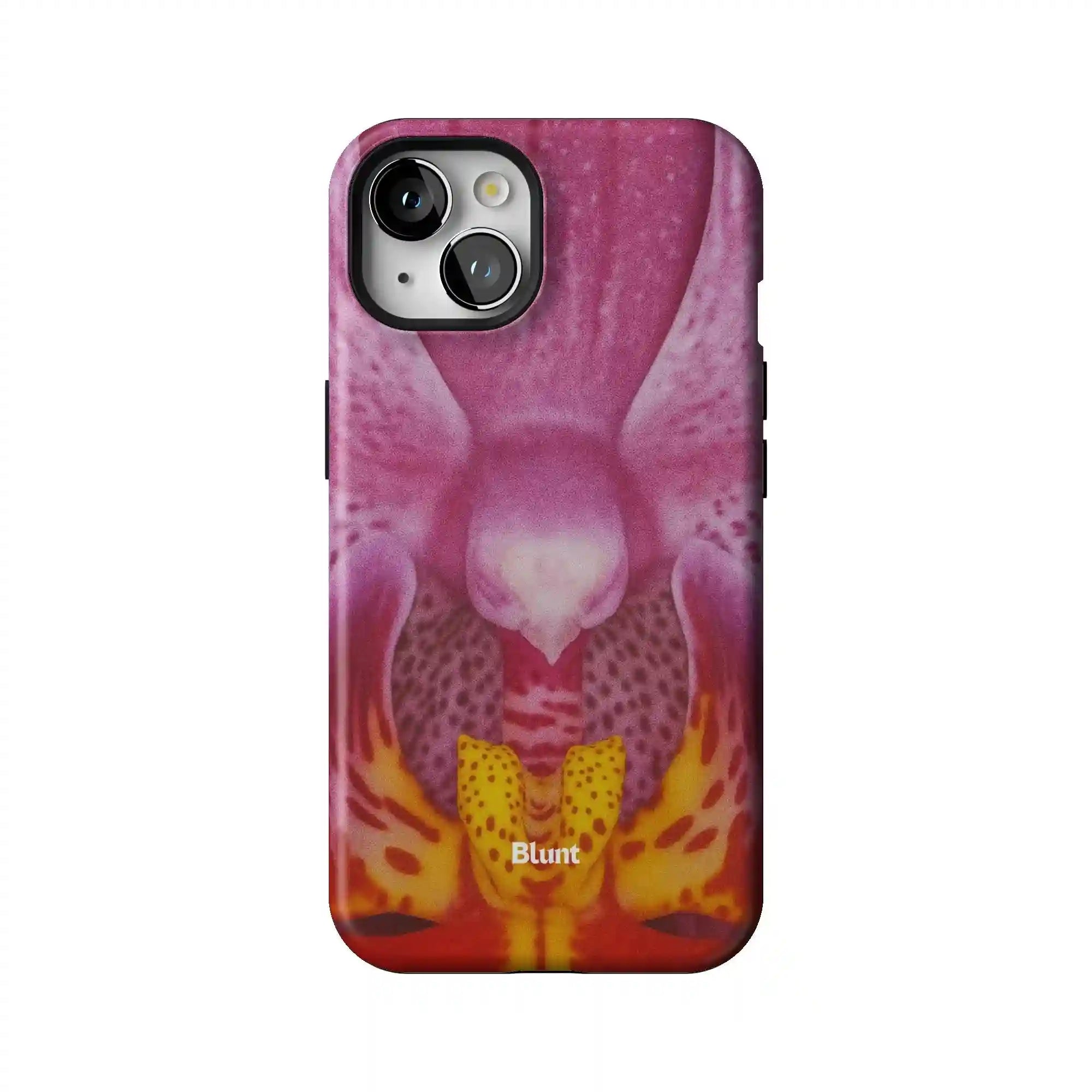 bluntcasesonline.com
