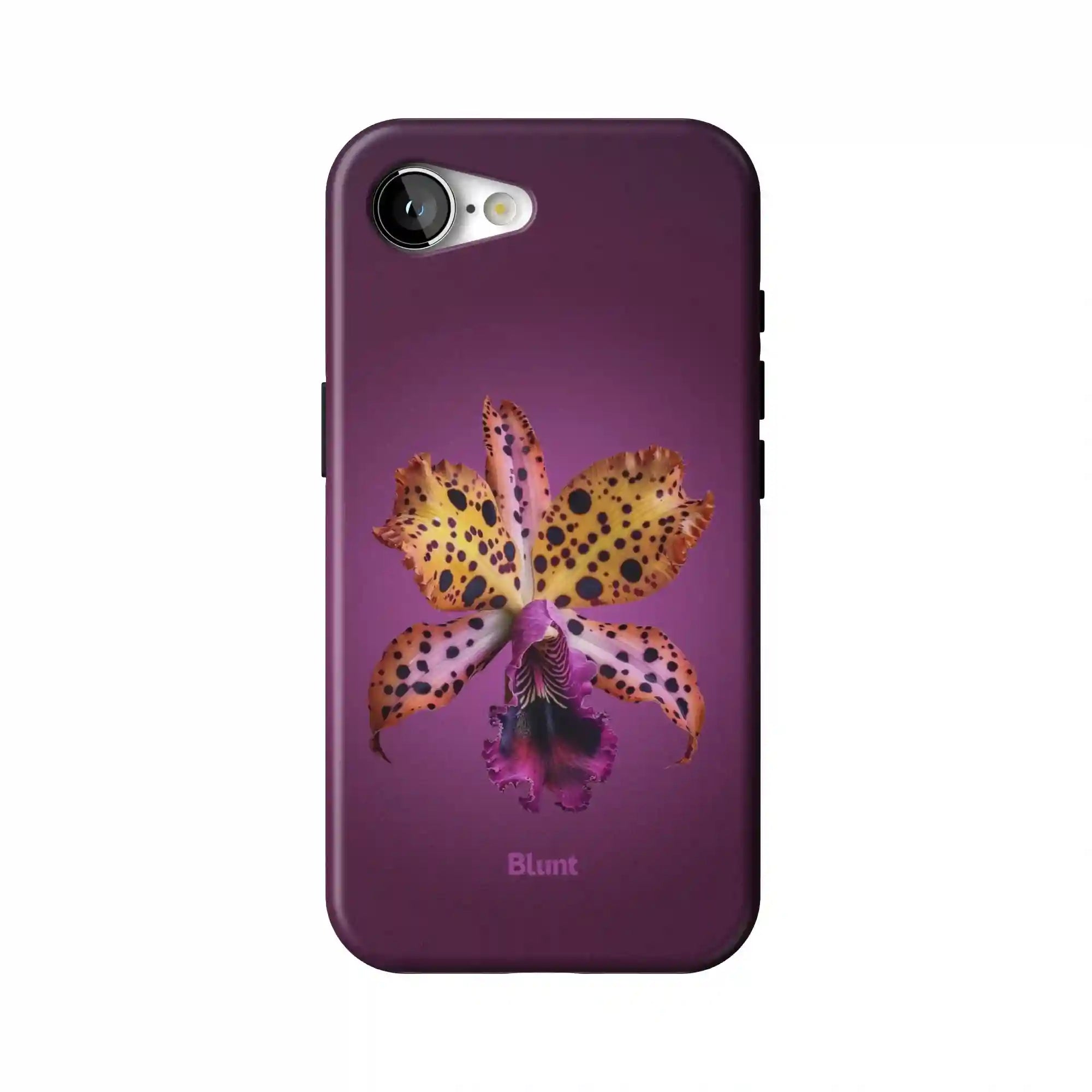 bluntcasesonline.com