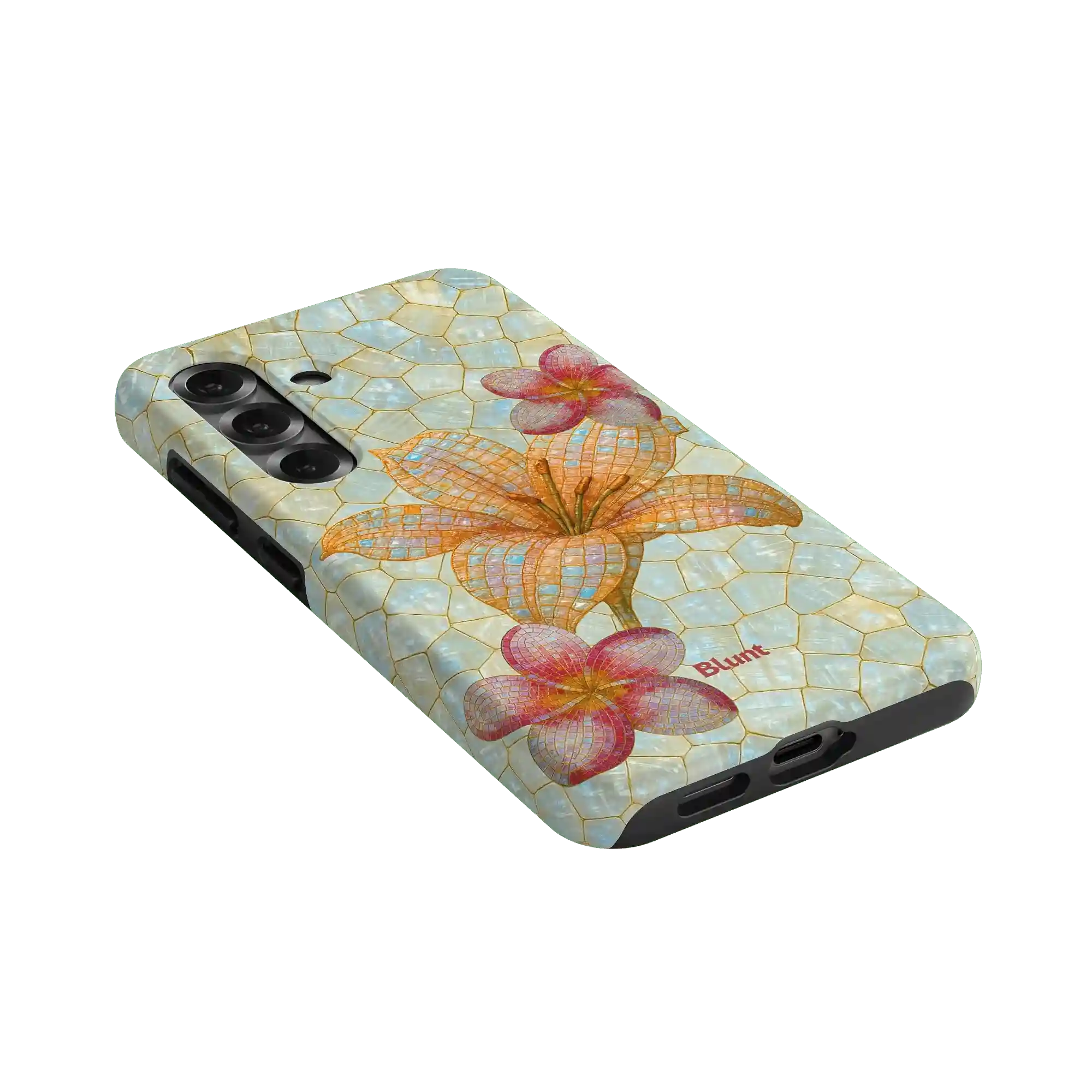 bluntcasesonline.com