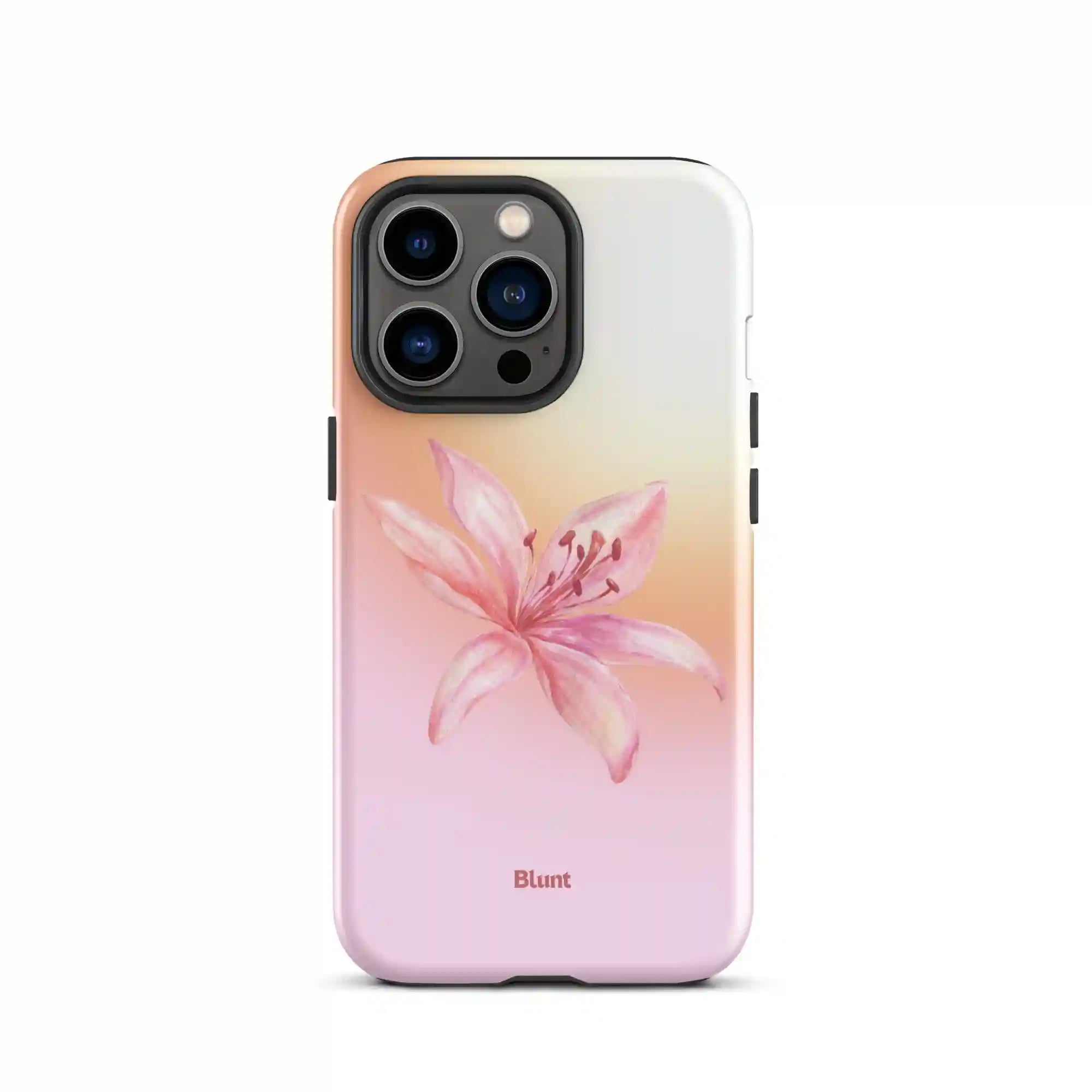 bluntcasesonline.com