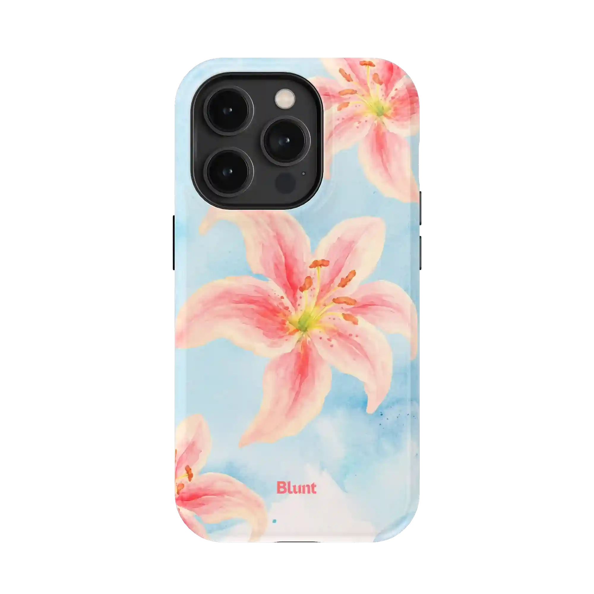 bluntcasesonline.com
